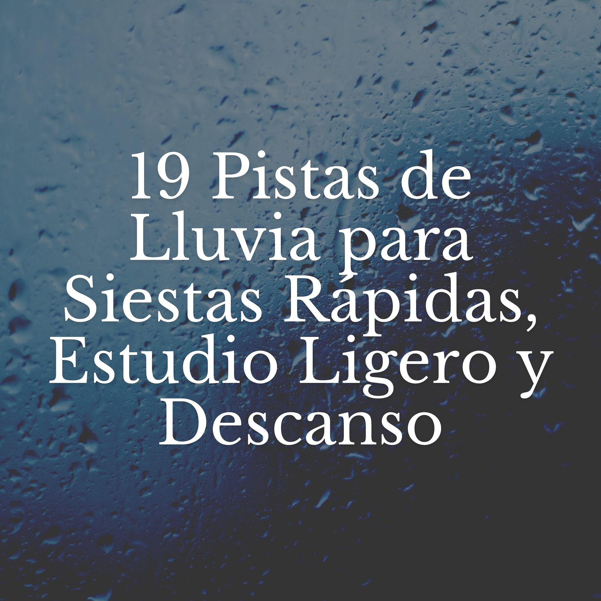 Постер альбома 19 Pistas de Lluvia para Siestas Rápidas, Estudio Ligero y Descanso