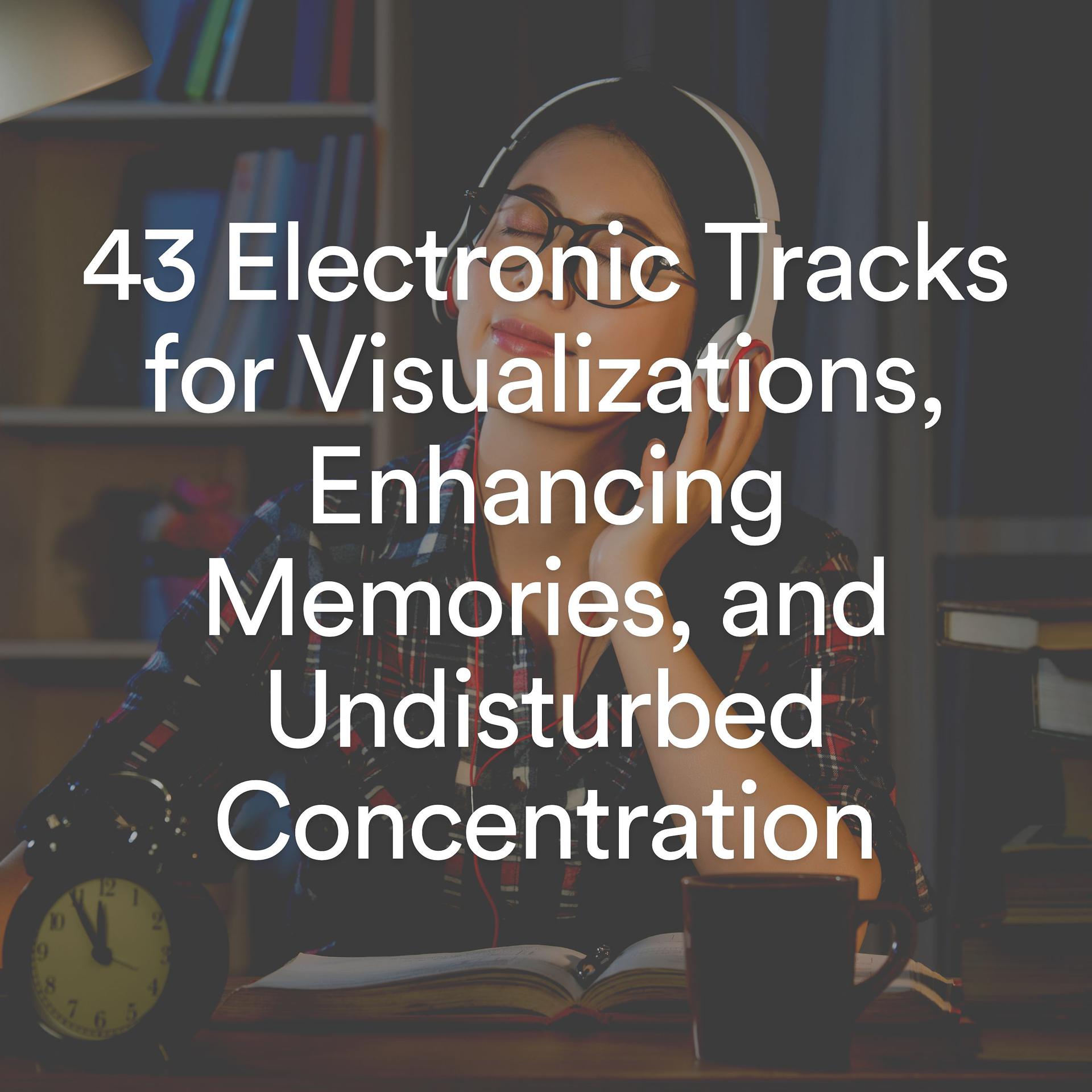 Постер альбома 43 Electronic Tracks for Visualizations, Enhancing Memories, and Undisturbed Concentration