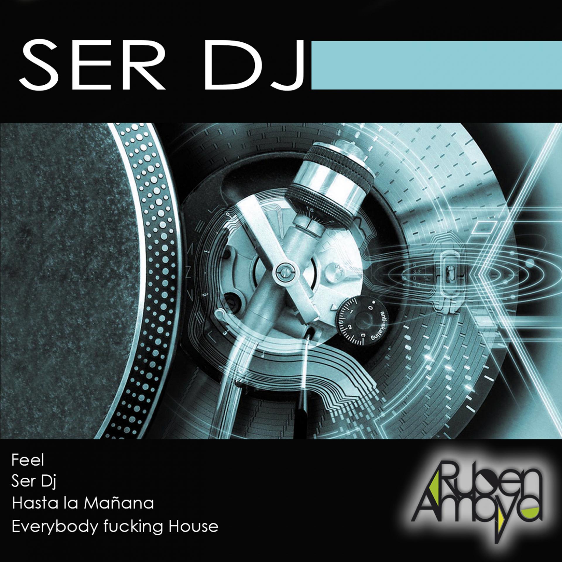 Постер альбома Ser DJ