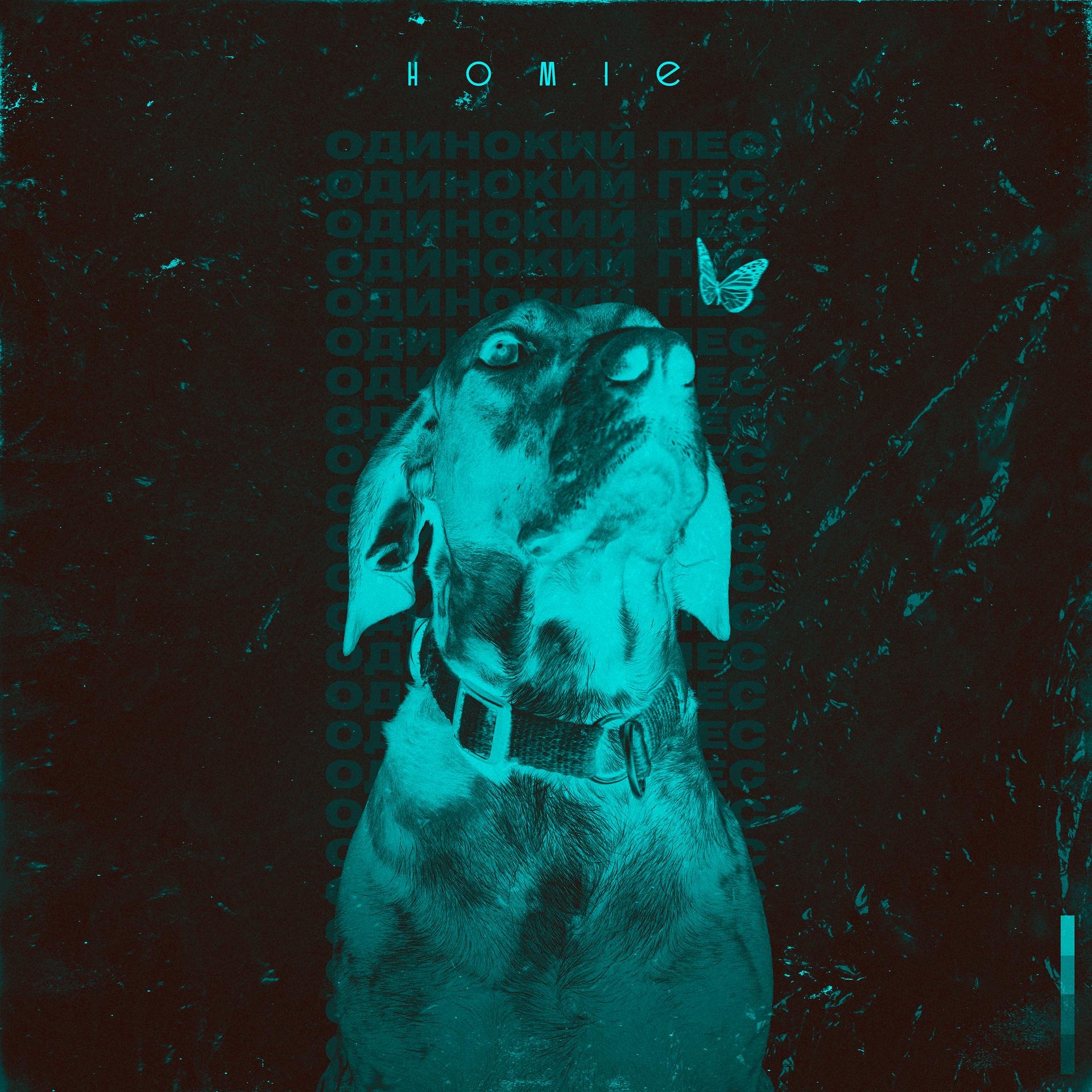 Постер альбома Одинокий пёс
