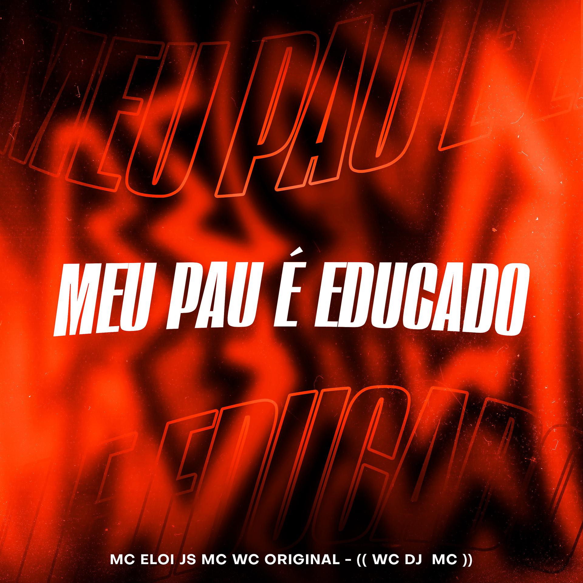 Постер альбома Meu Pau e Educado