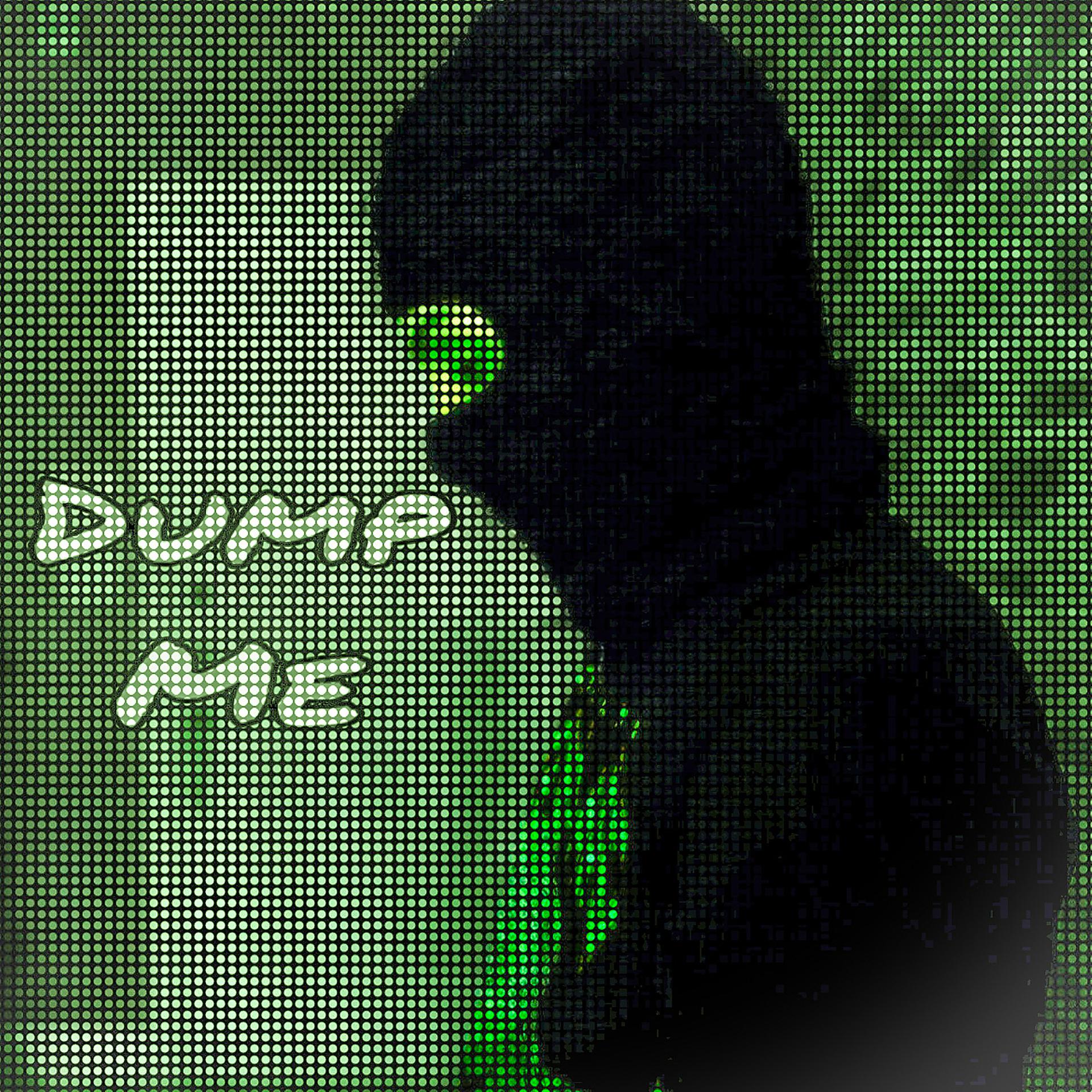 Постер альбома Dump Me