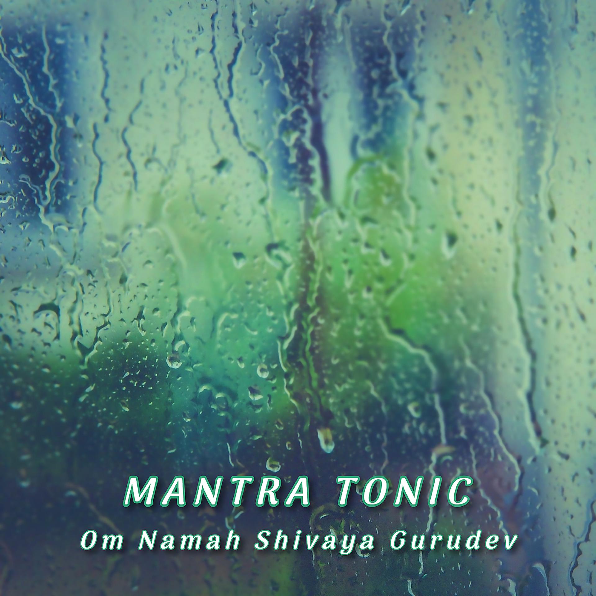 Постер альбома Om Namah Shivaya Gurudev
