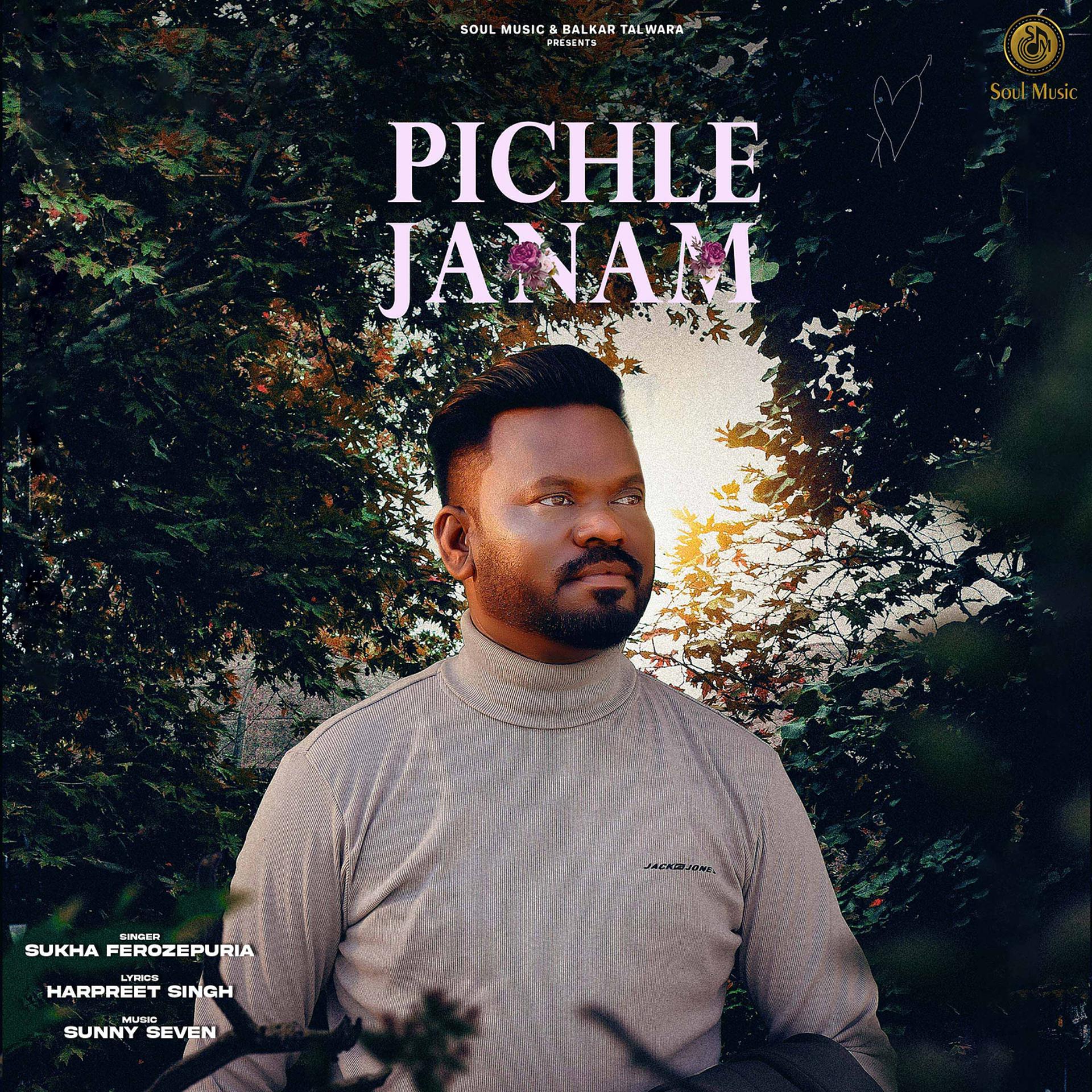 Постер альбома Pichle Janam