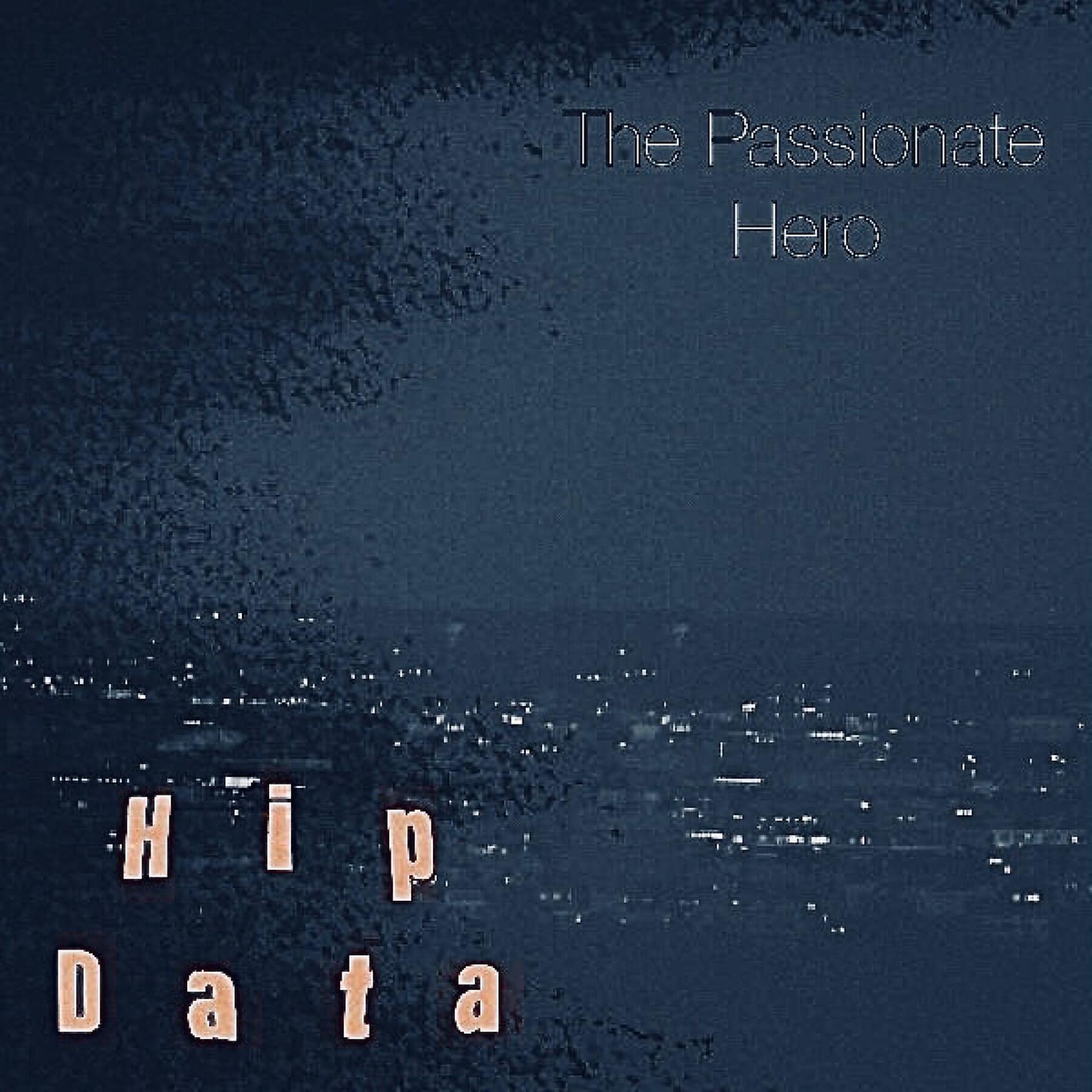 Постер альбома Hip Data