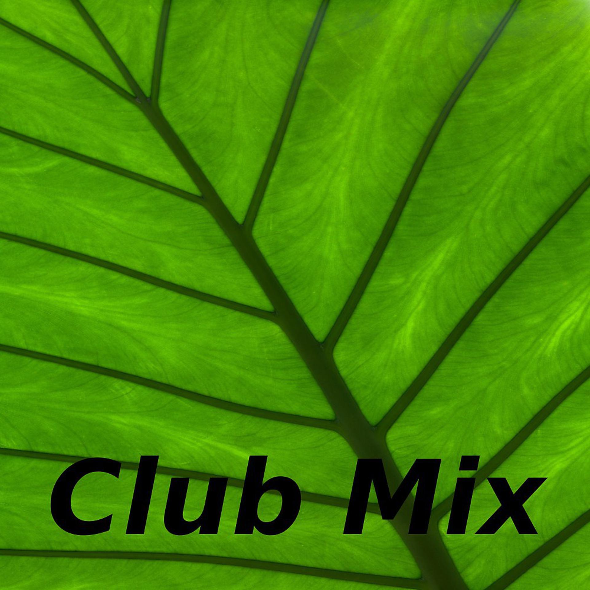 Постер альбома Club Mix