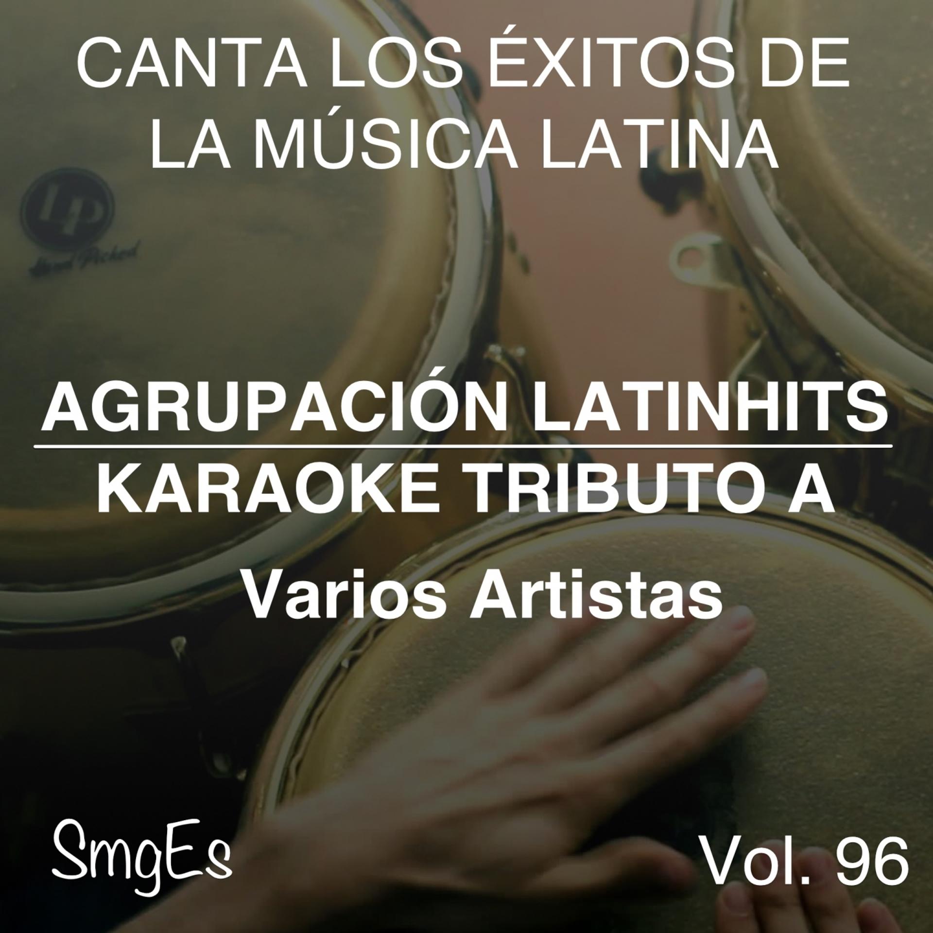 Постер альбома Instrumental Karaoke Series: Varios Artistas, Vol. 96