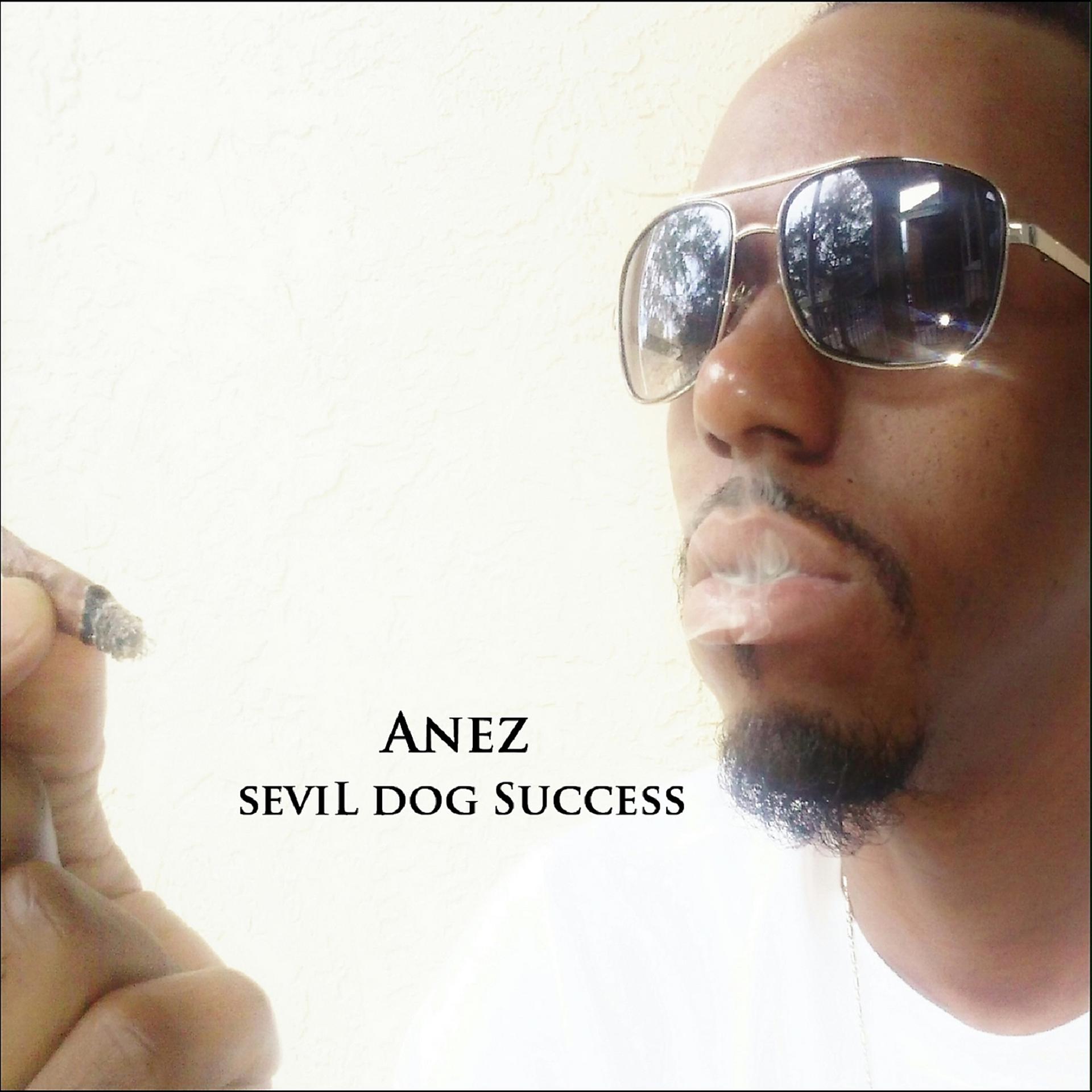 Постер альбома Sevil Dog Success