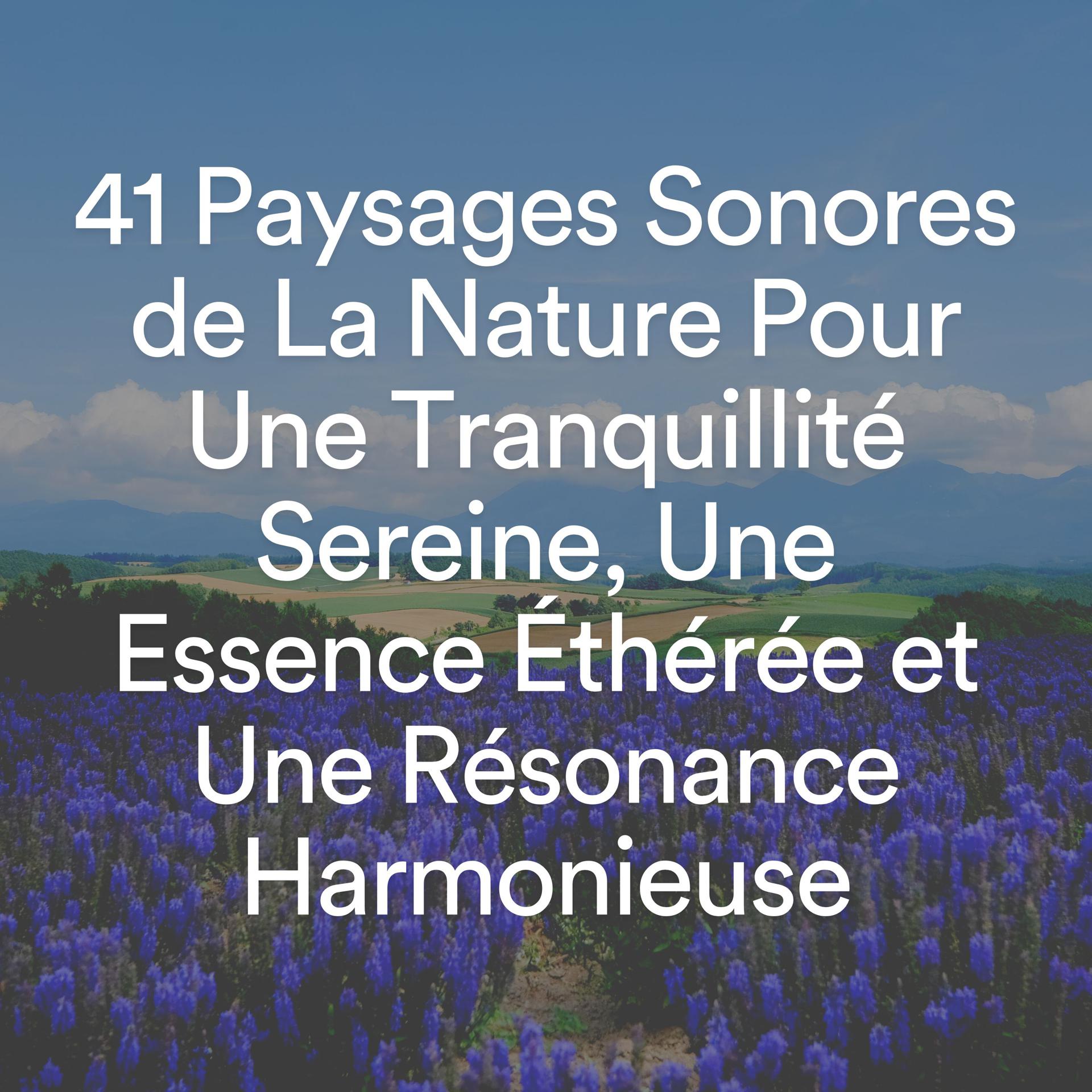 Постер альбома 41 Paysages Sonores de La Nature Pour Une Tranquillité Sereine, Une Essence Éthérée et Une Résonance Harmonieuse
