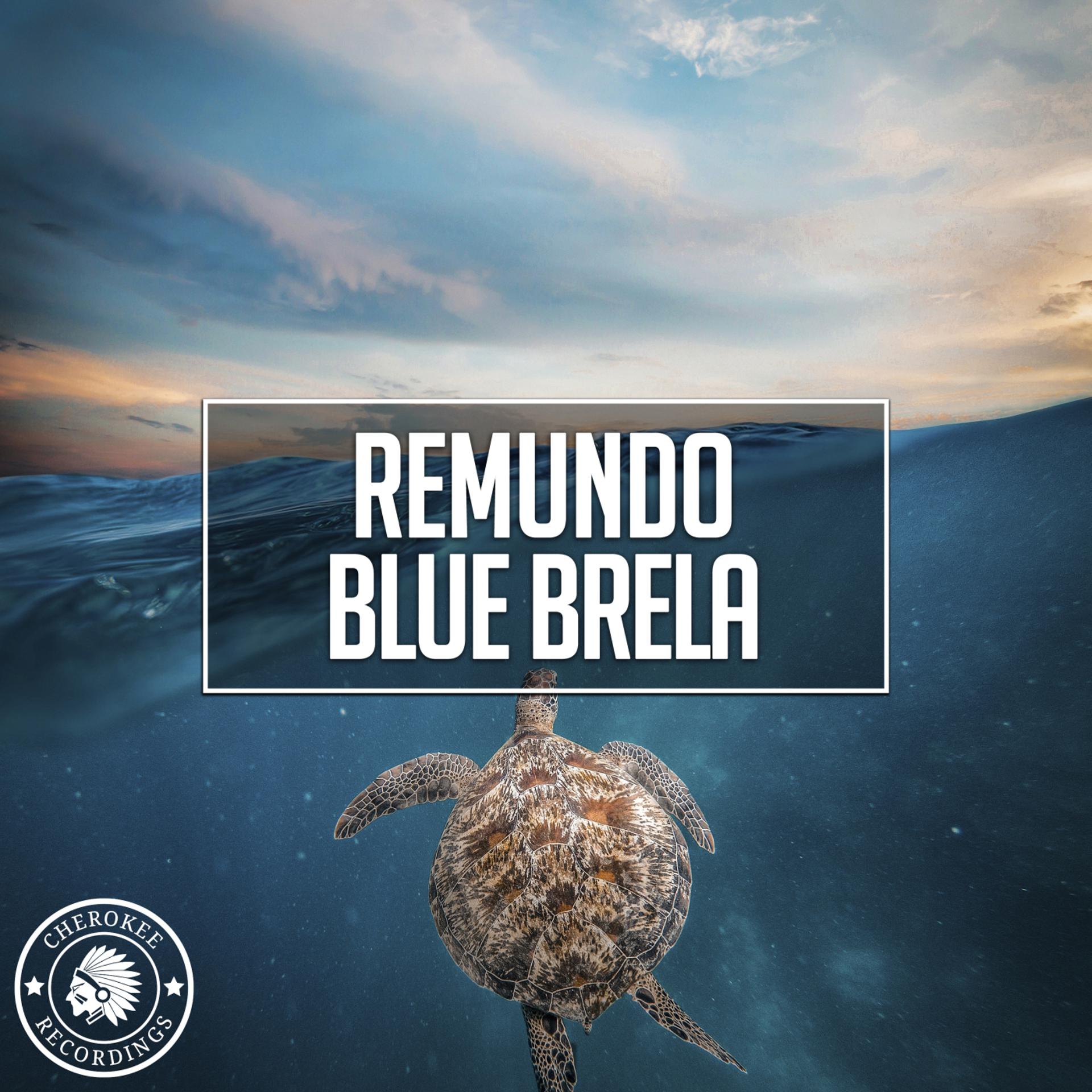 Постер альбома Blue Brela