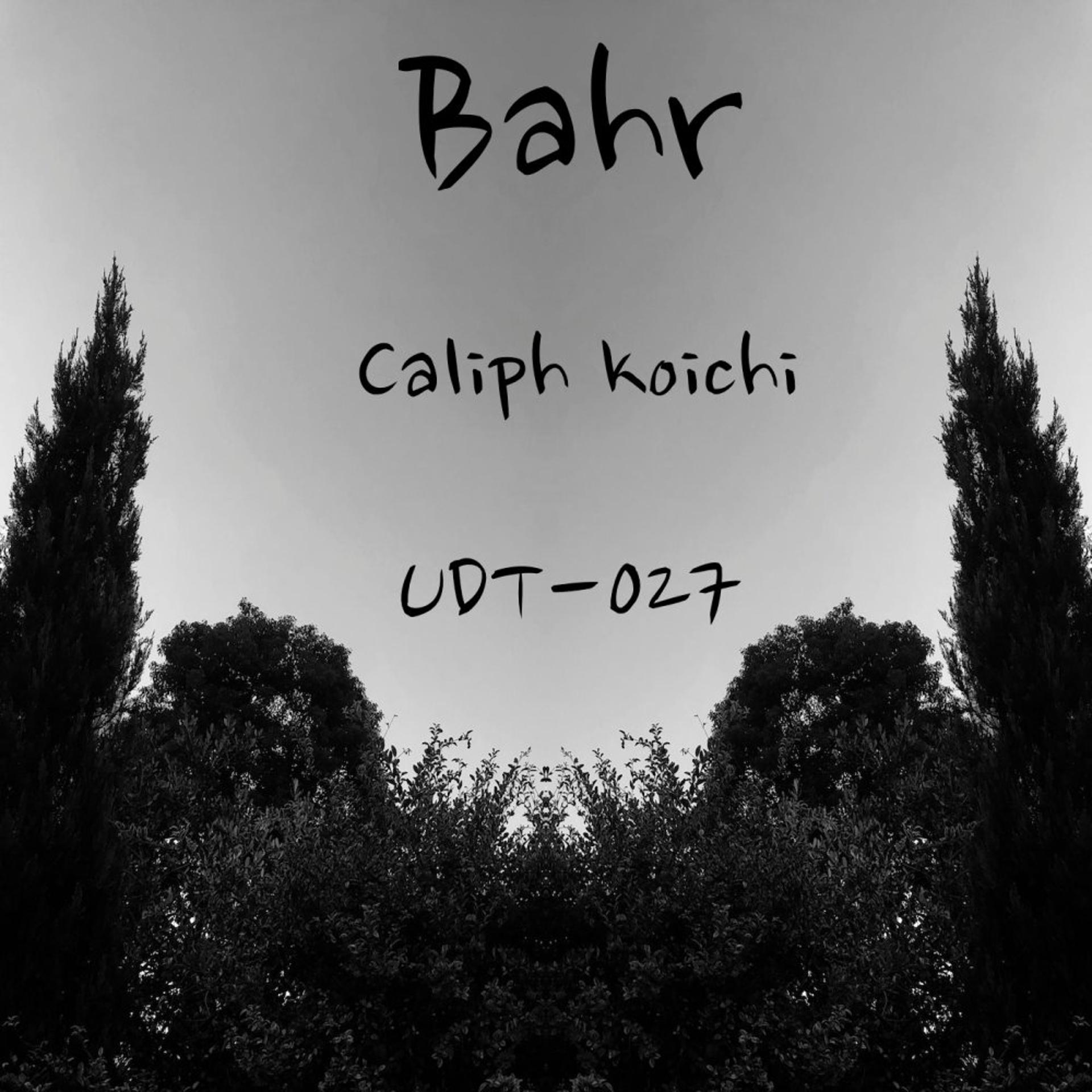 Постер альбома Bahr