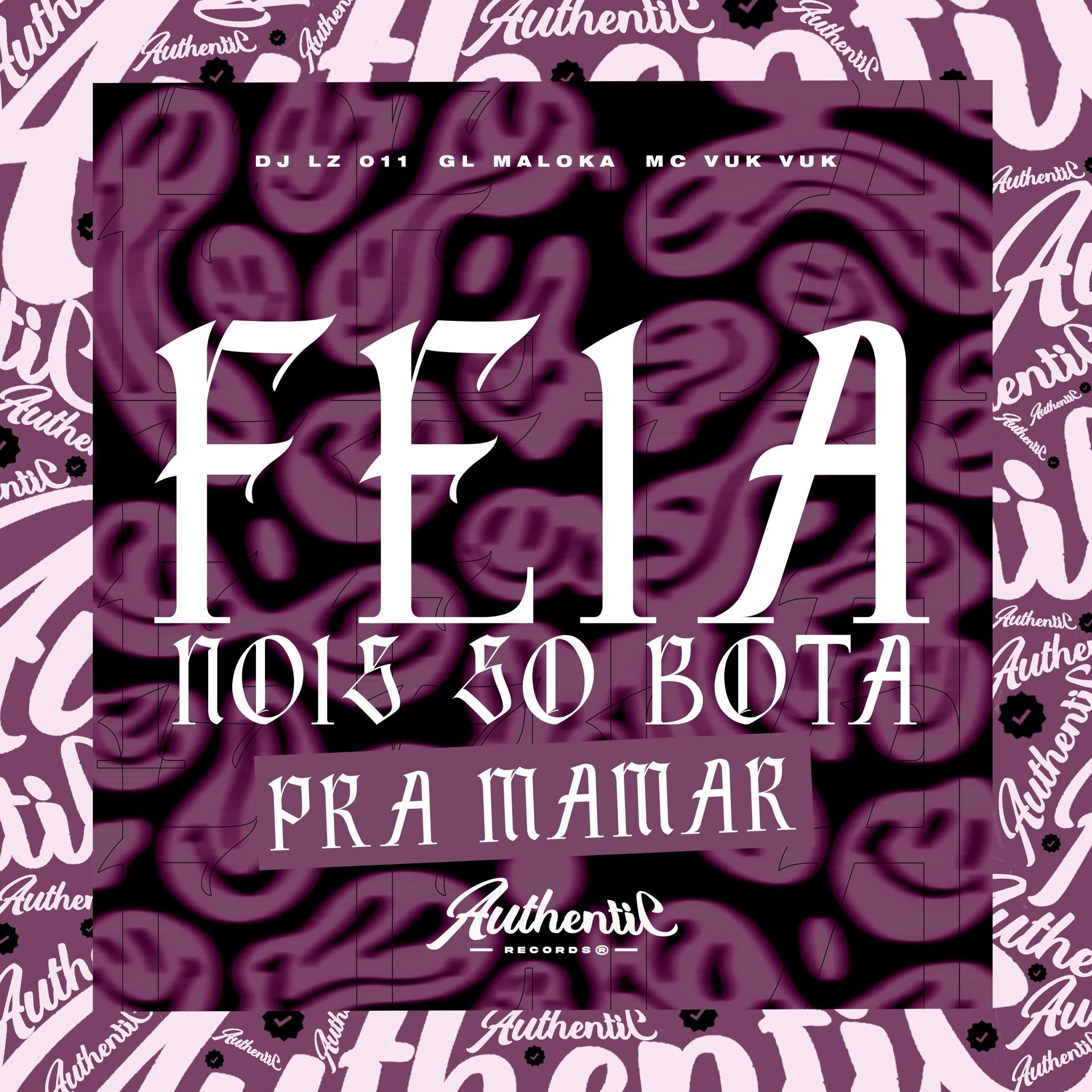 Постер альбома Feia Nois So Bota pra Mamar
