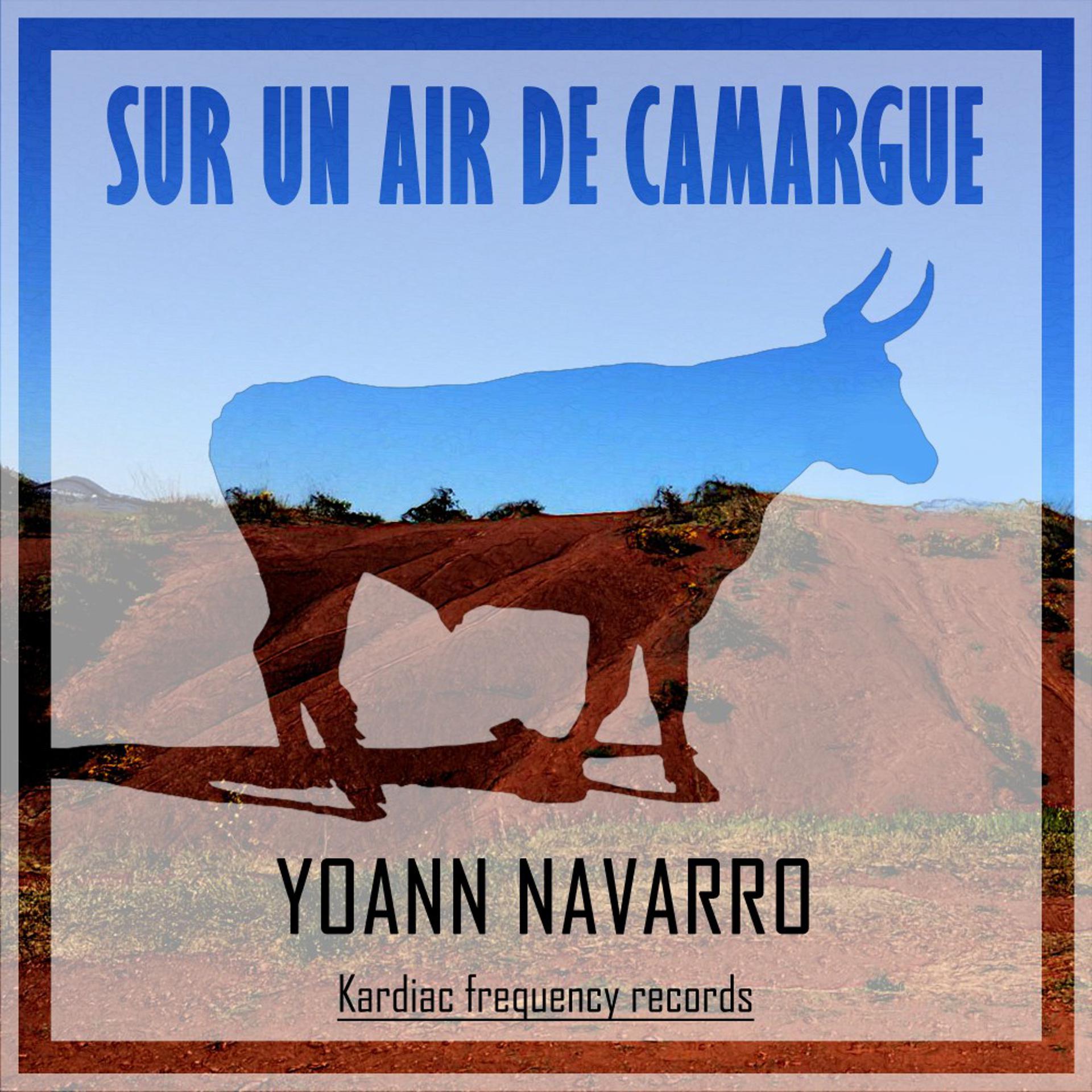 Постер альбома Sur Un Air De Camargue