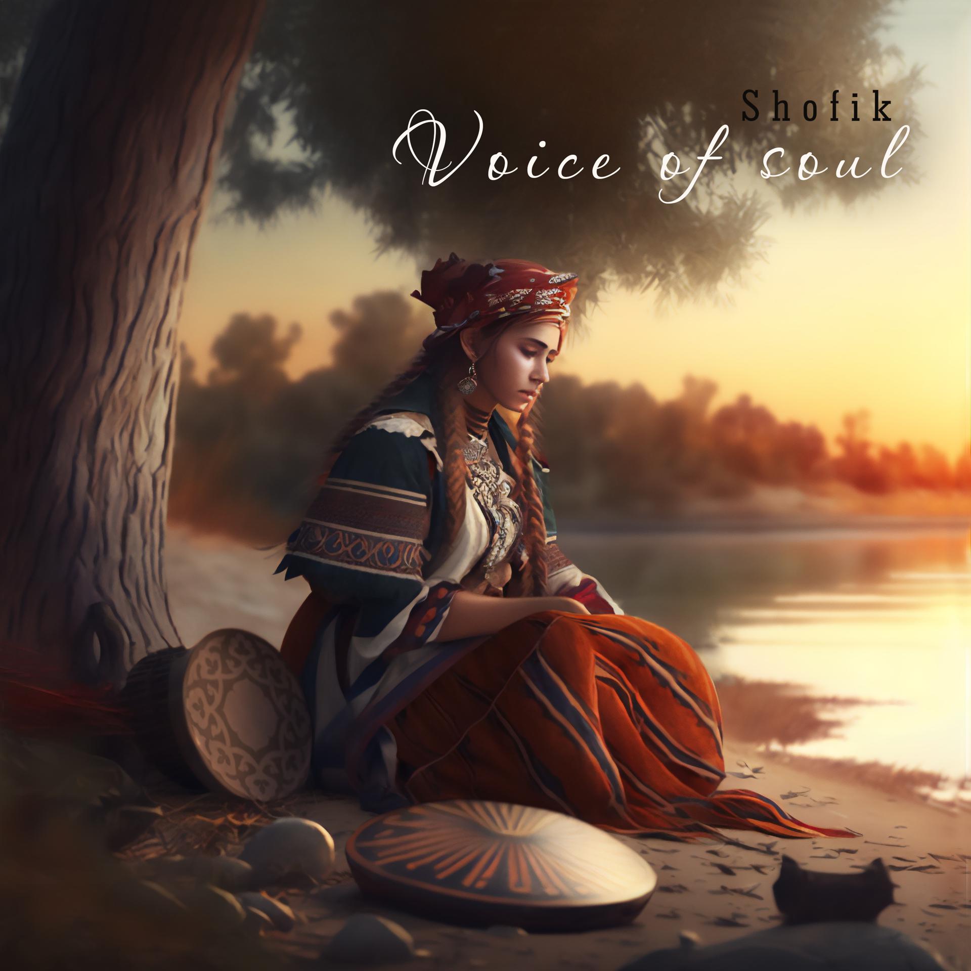 Постер альбома Voice of Soul