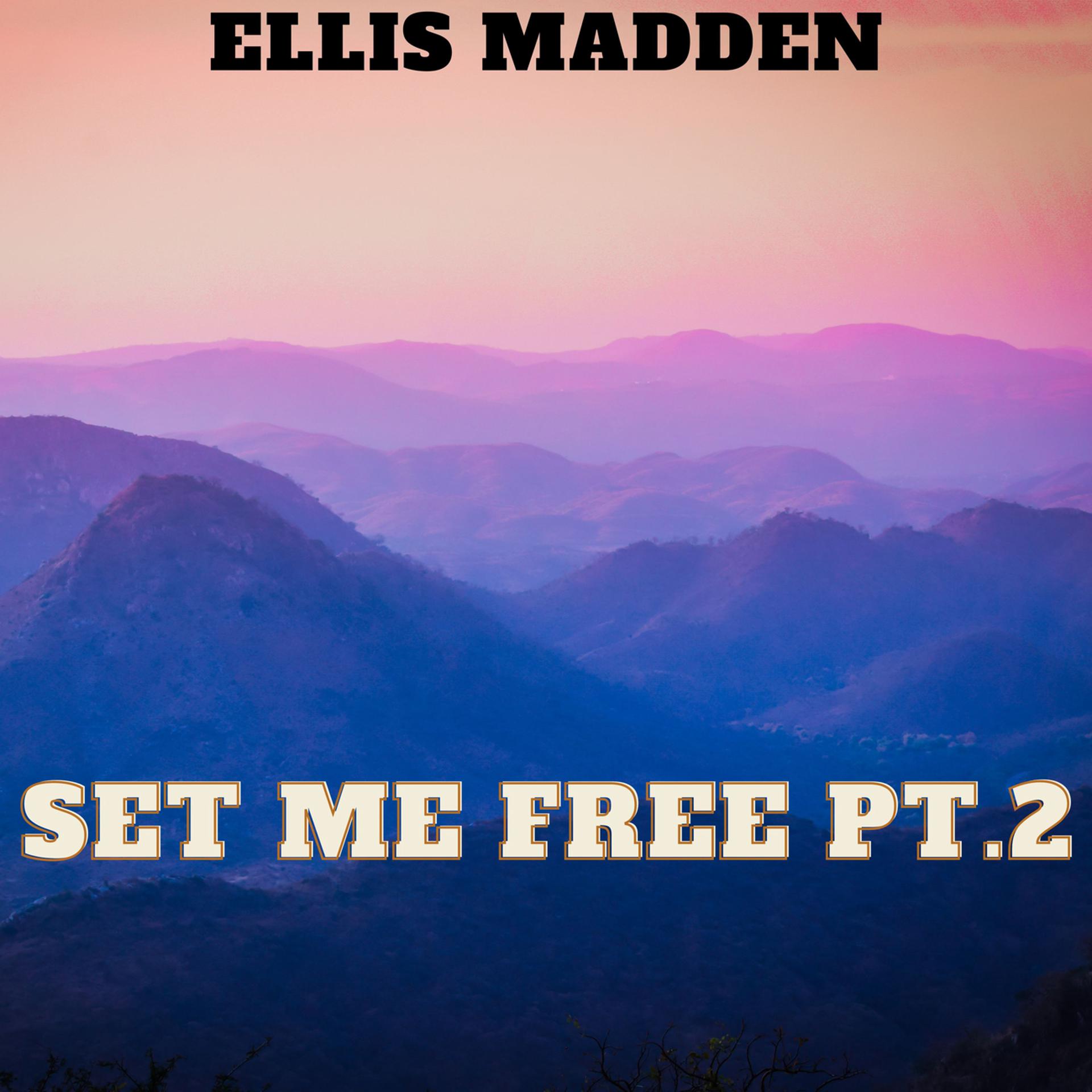 Постер альбома Set Me Free Pt.2