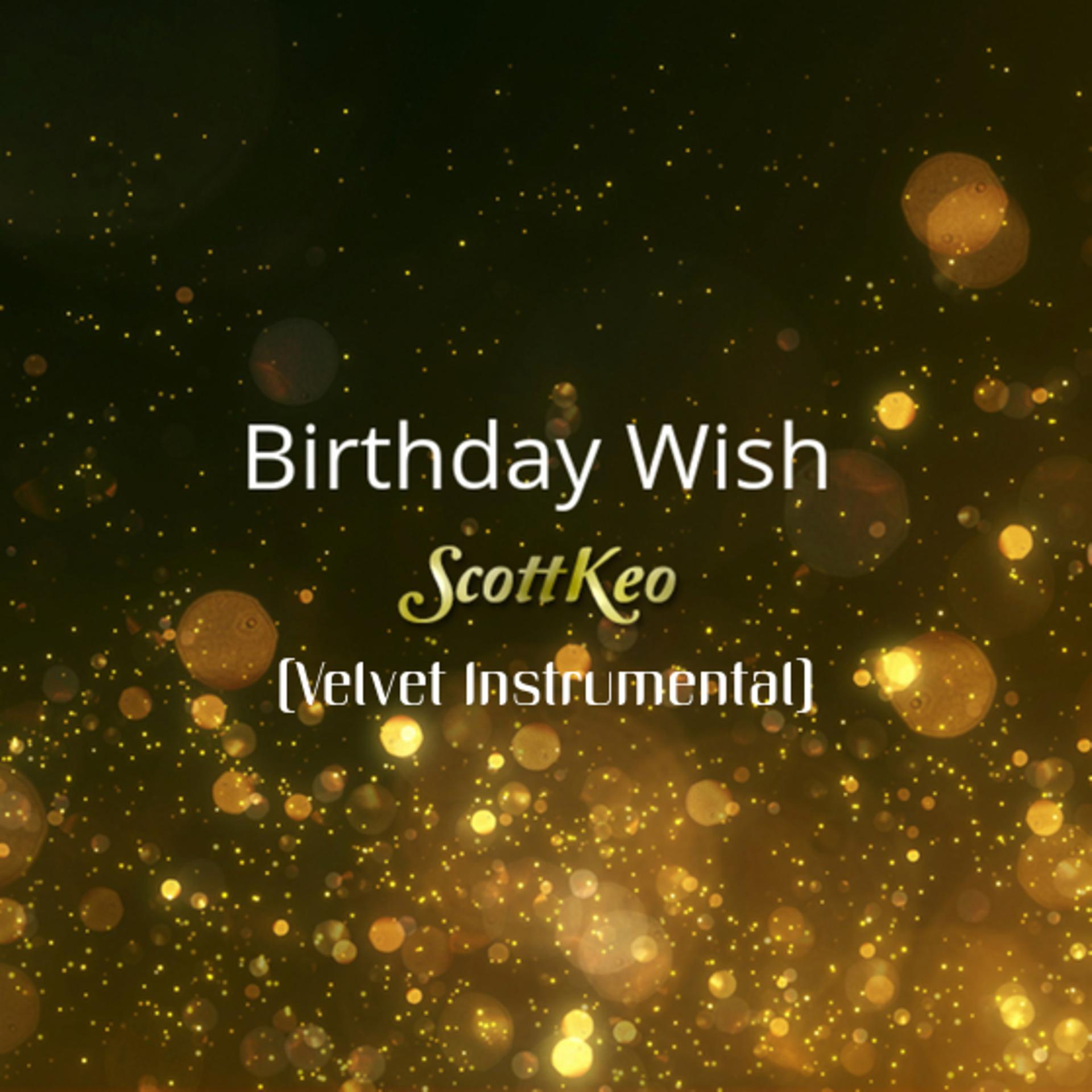 Постер альбома Birthday Wish Velvet (Instrumental)
