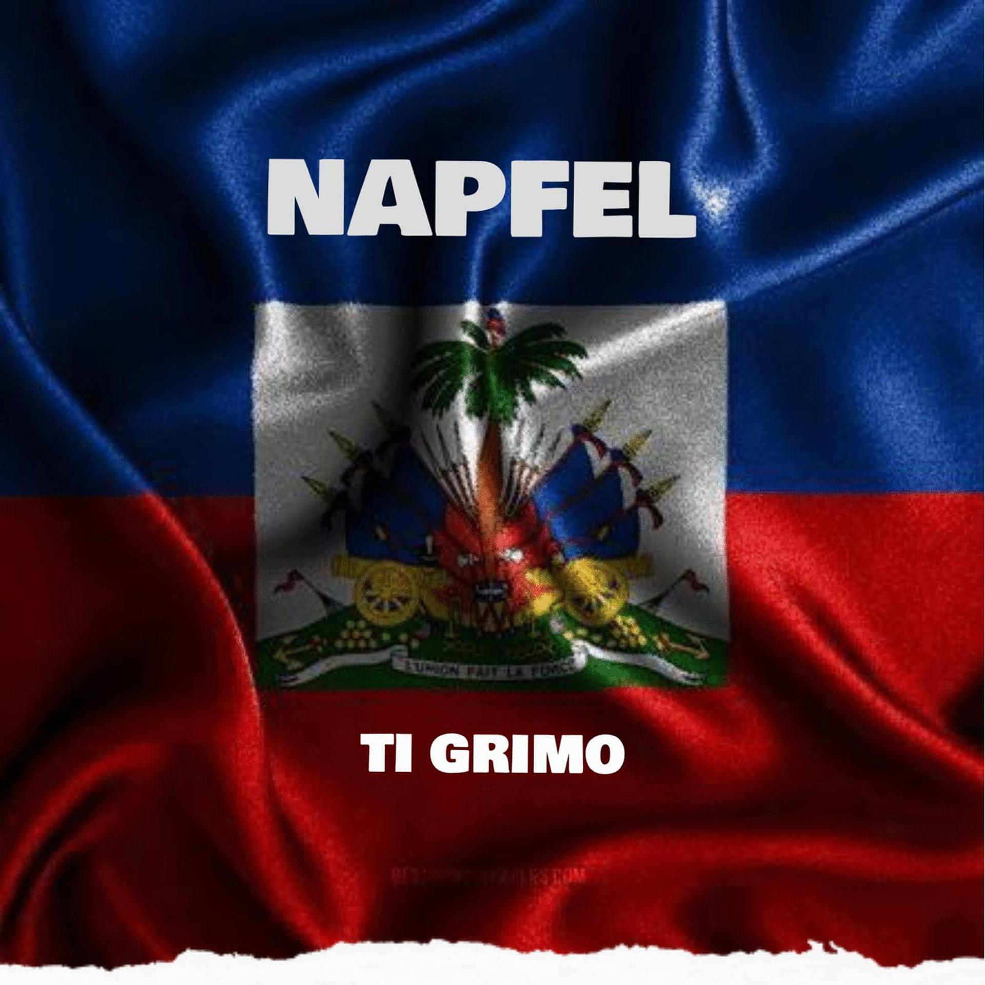 Постер альбома NapFel