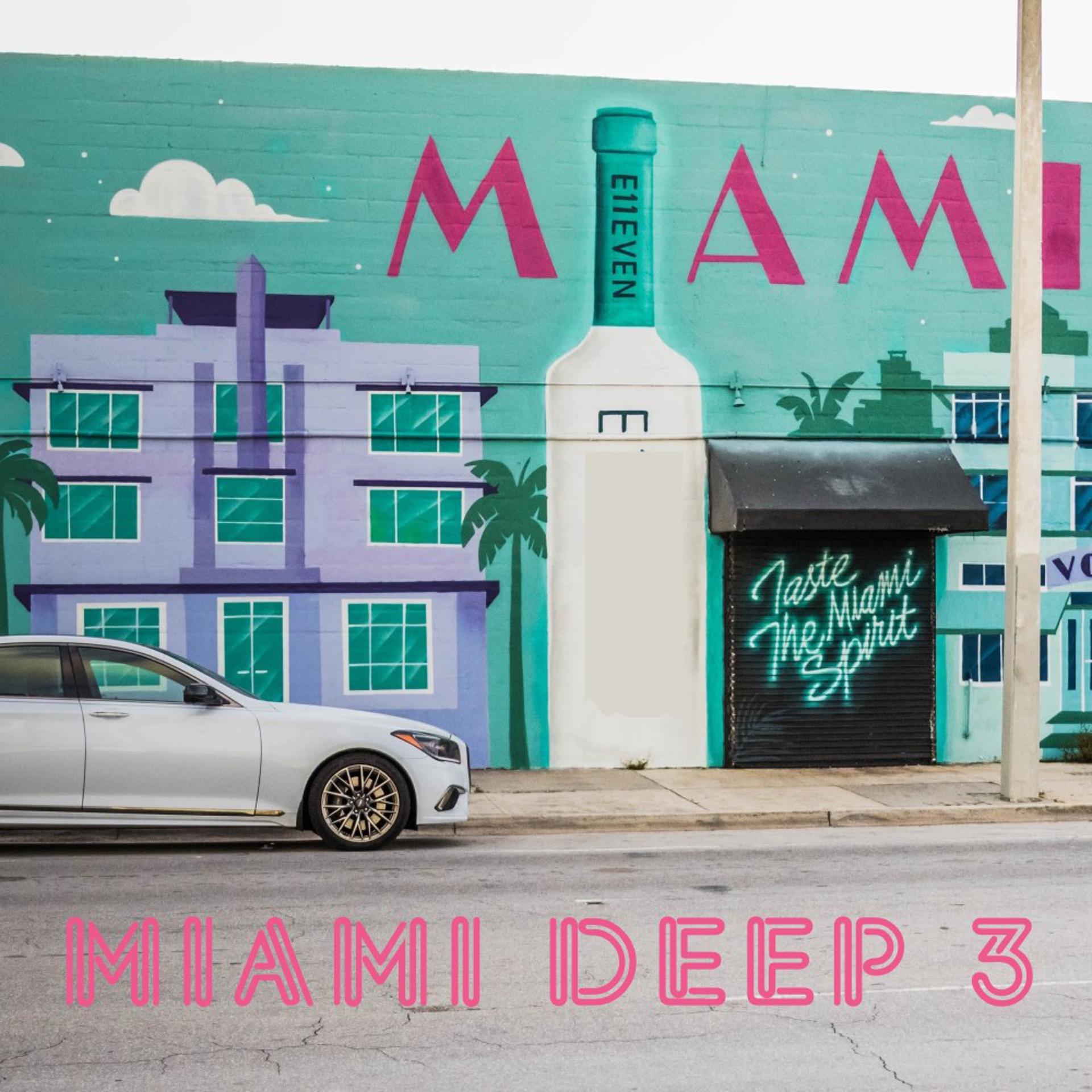 Постер альбома Miami Deep 3