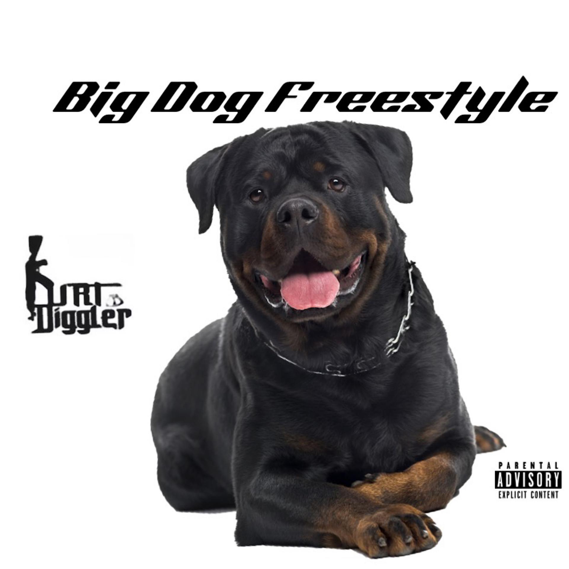 Постер альбома Big Dog Freestyle