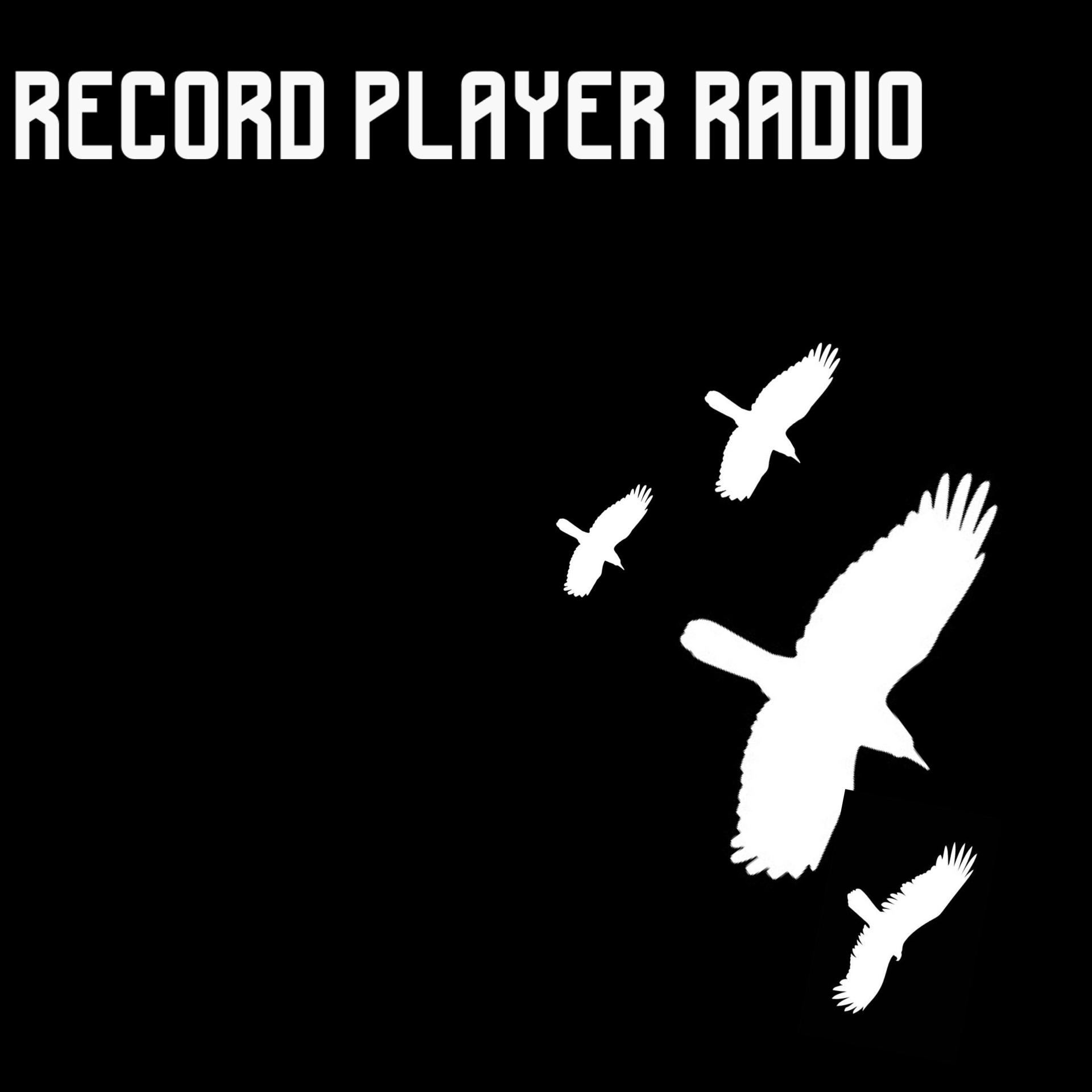 Постер альбома Record Player Radio