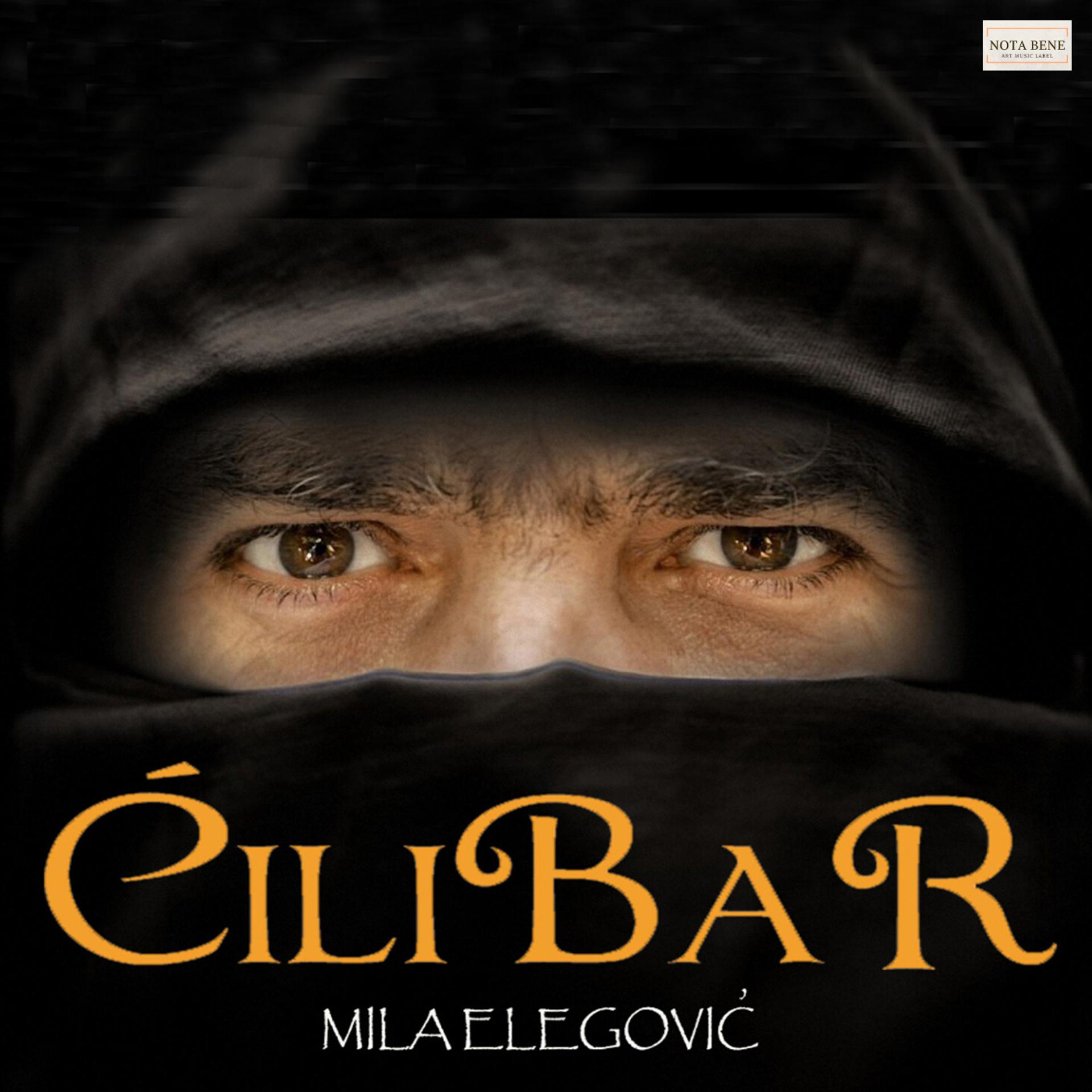 Постер альбома Ćilibar