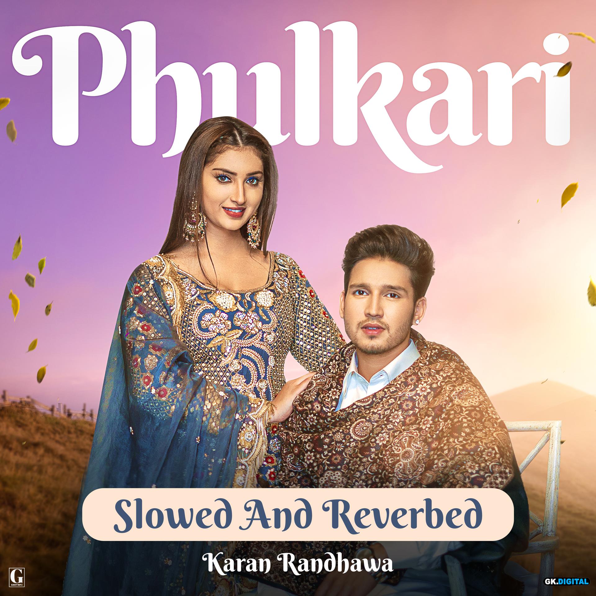 Постер альбома Phulkari