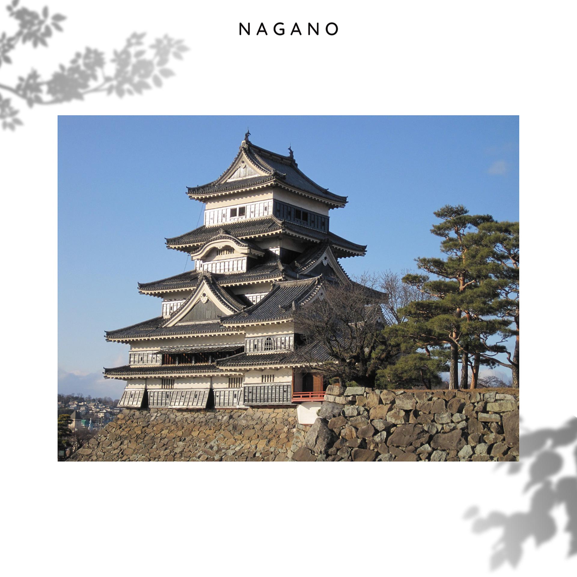 Постер альбома Nagano