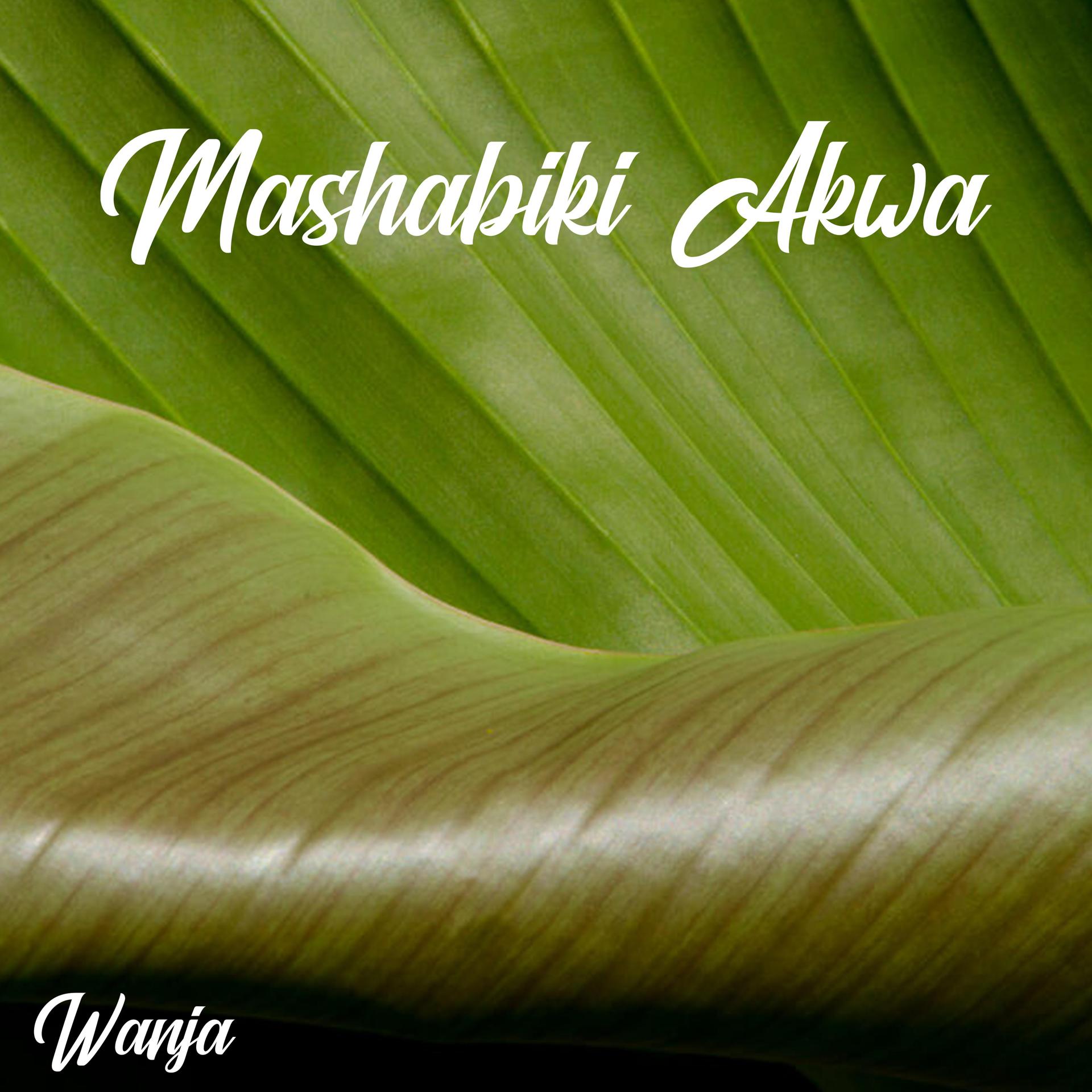 Постер альбома Mashabiki Akwa