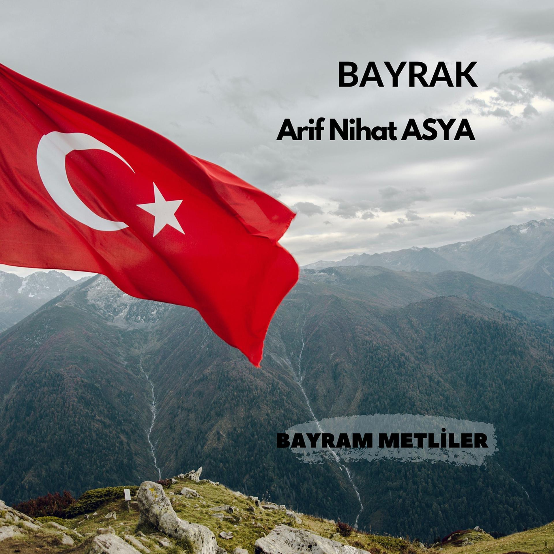 Постер альбома Bayrak