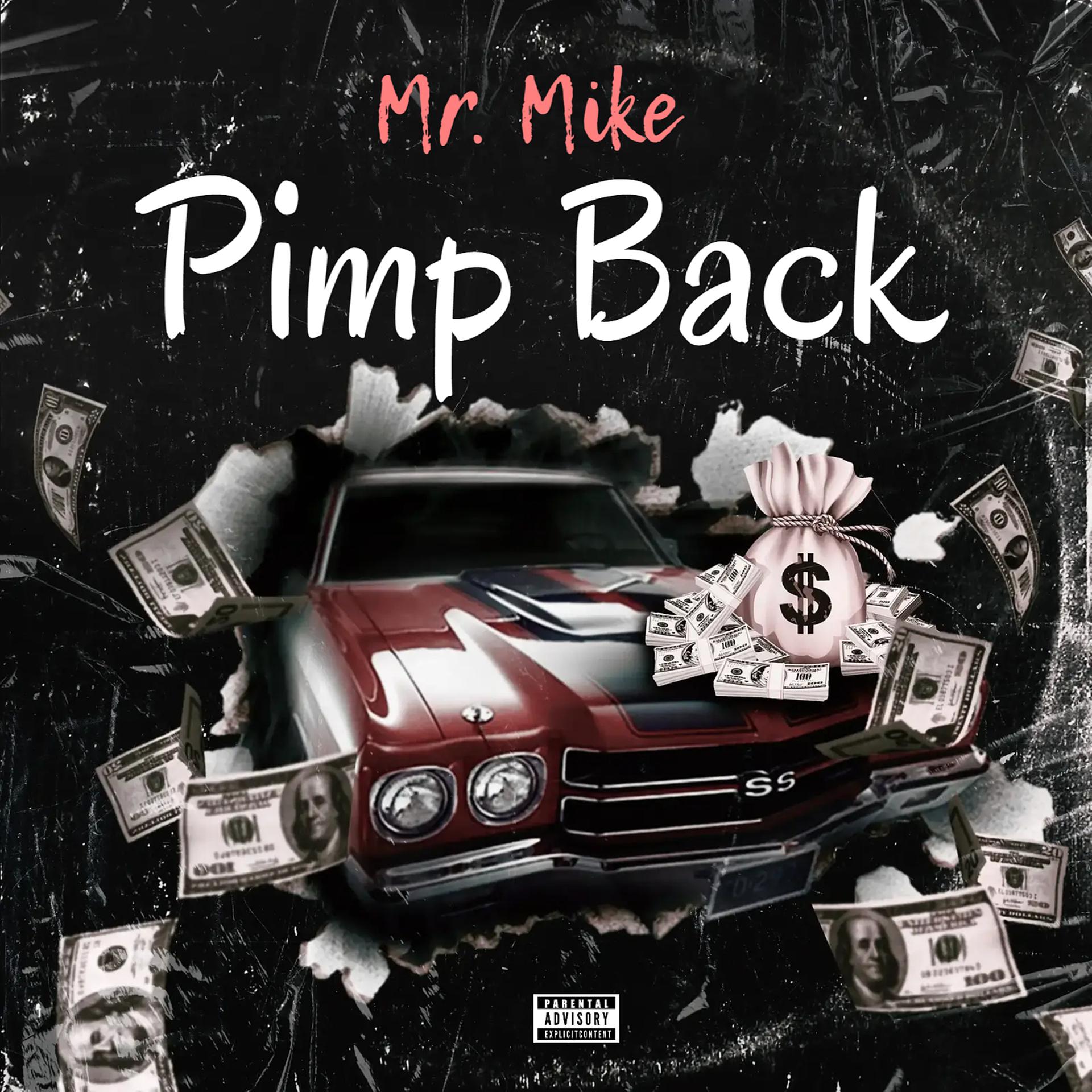 Постер альбома Pimp Back