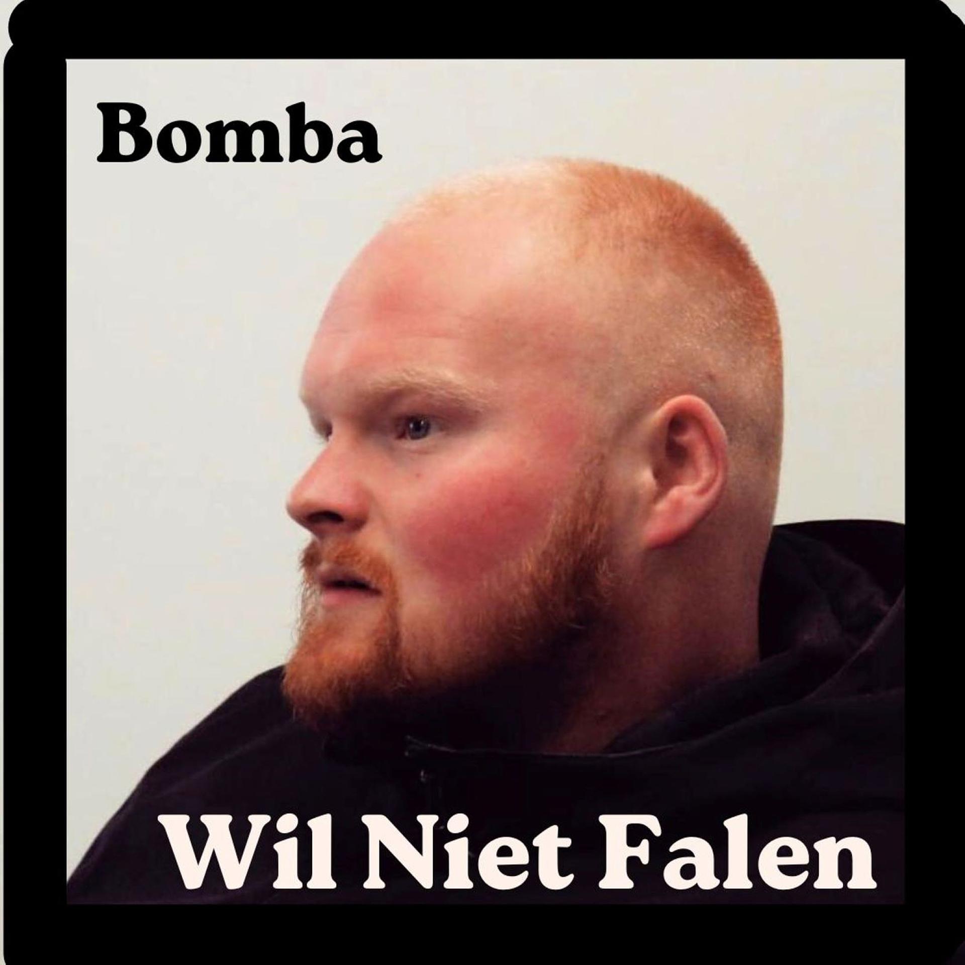 Постер альбома Wil Niet Falen