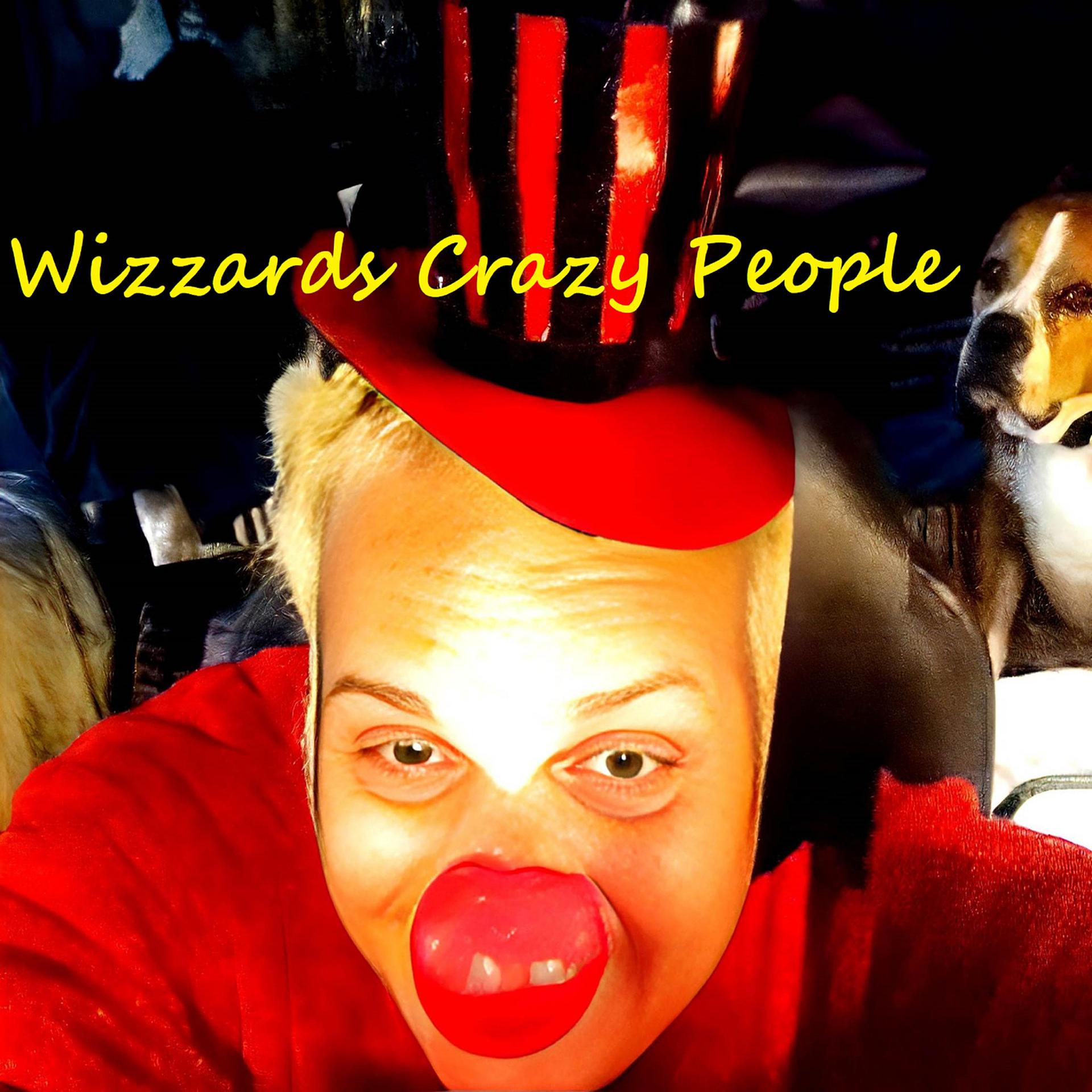 Постер альбома Wizzards Crazy People