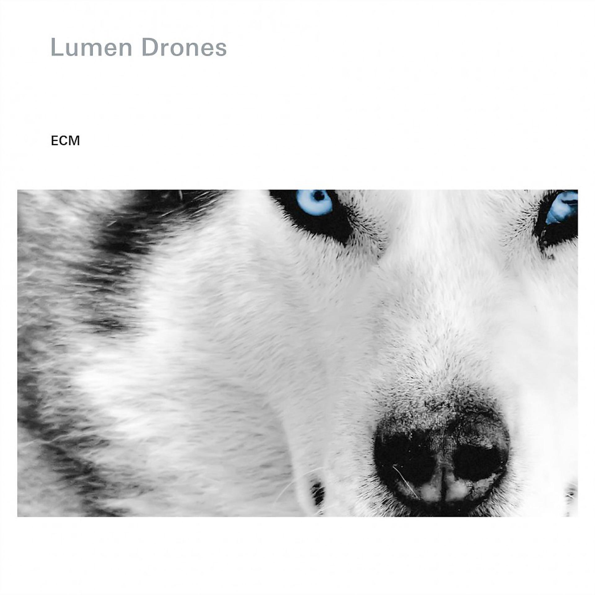 Постер альбома Lumen Drones