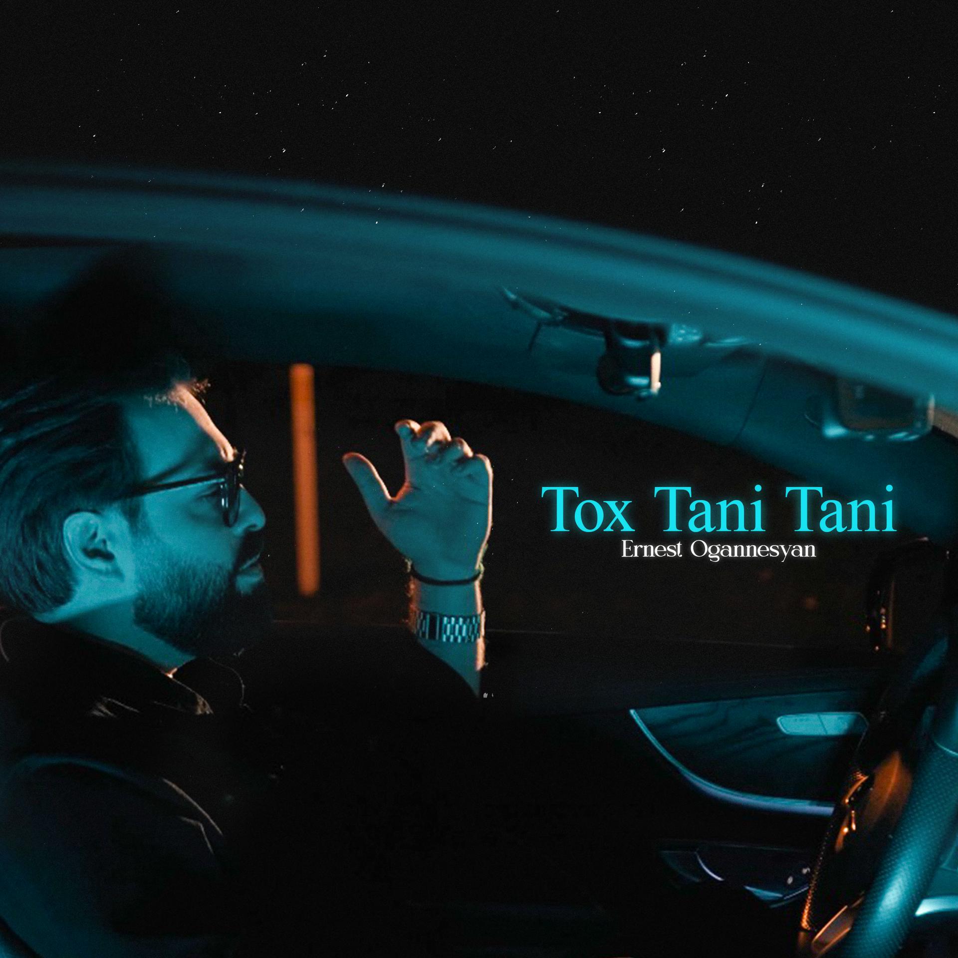 Постер к треку Ernest Ogannesyan - Tox Tani Tani
