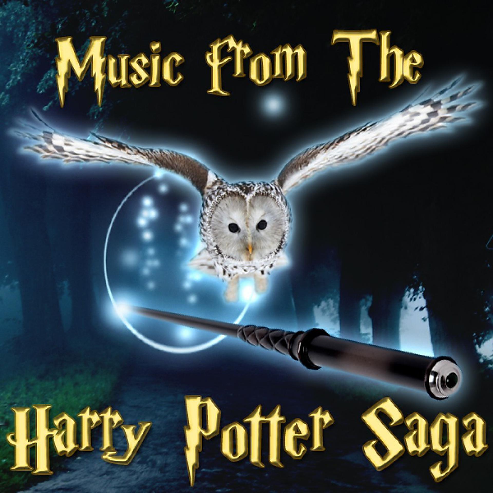 Постер альбома Music from the Harry Potter Saga