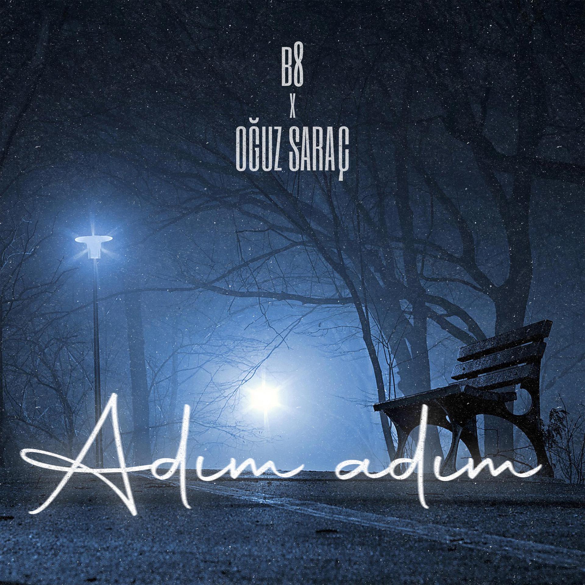 Постер альбома ADIM ADIM