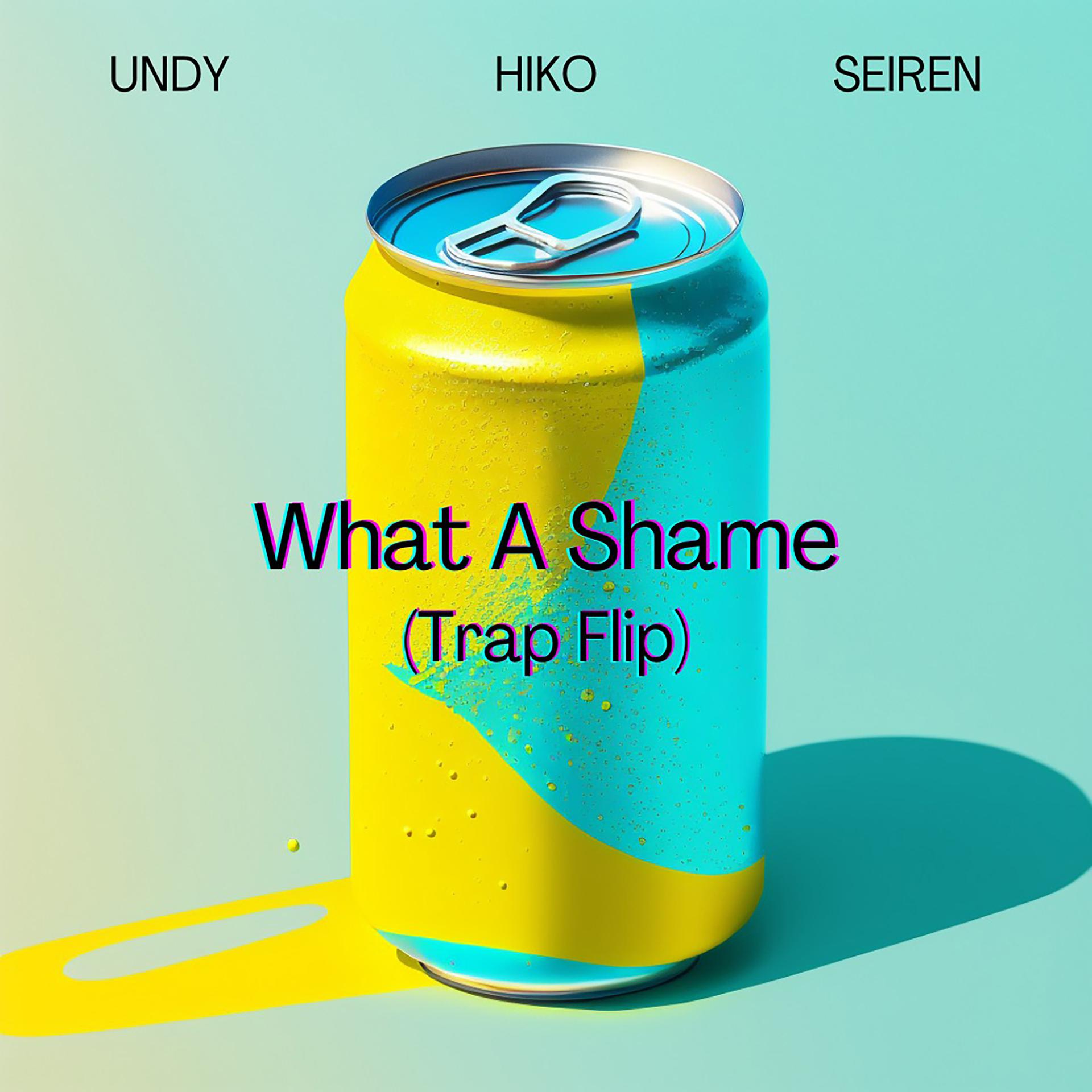 Постер альбома What a Shame (Trap Flip)