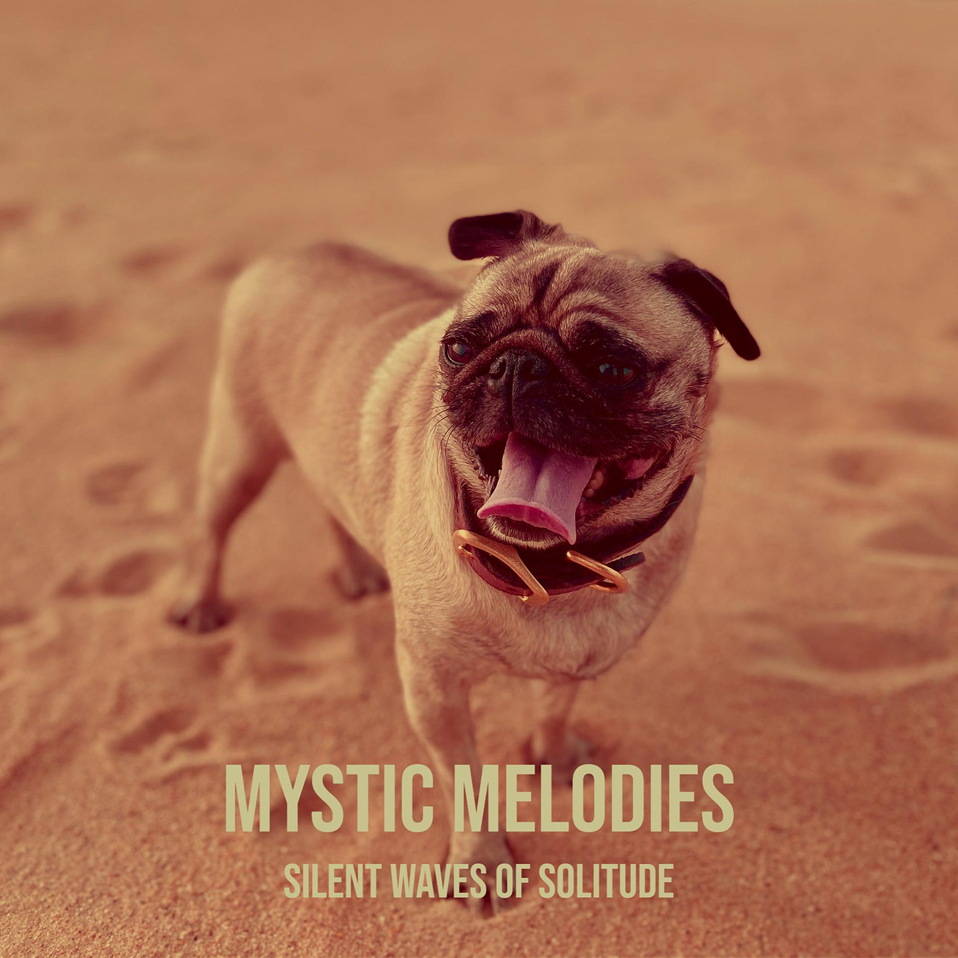 Постер альбома Mystic Melodies