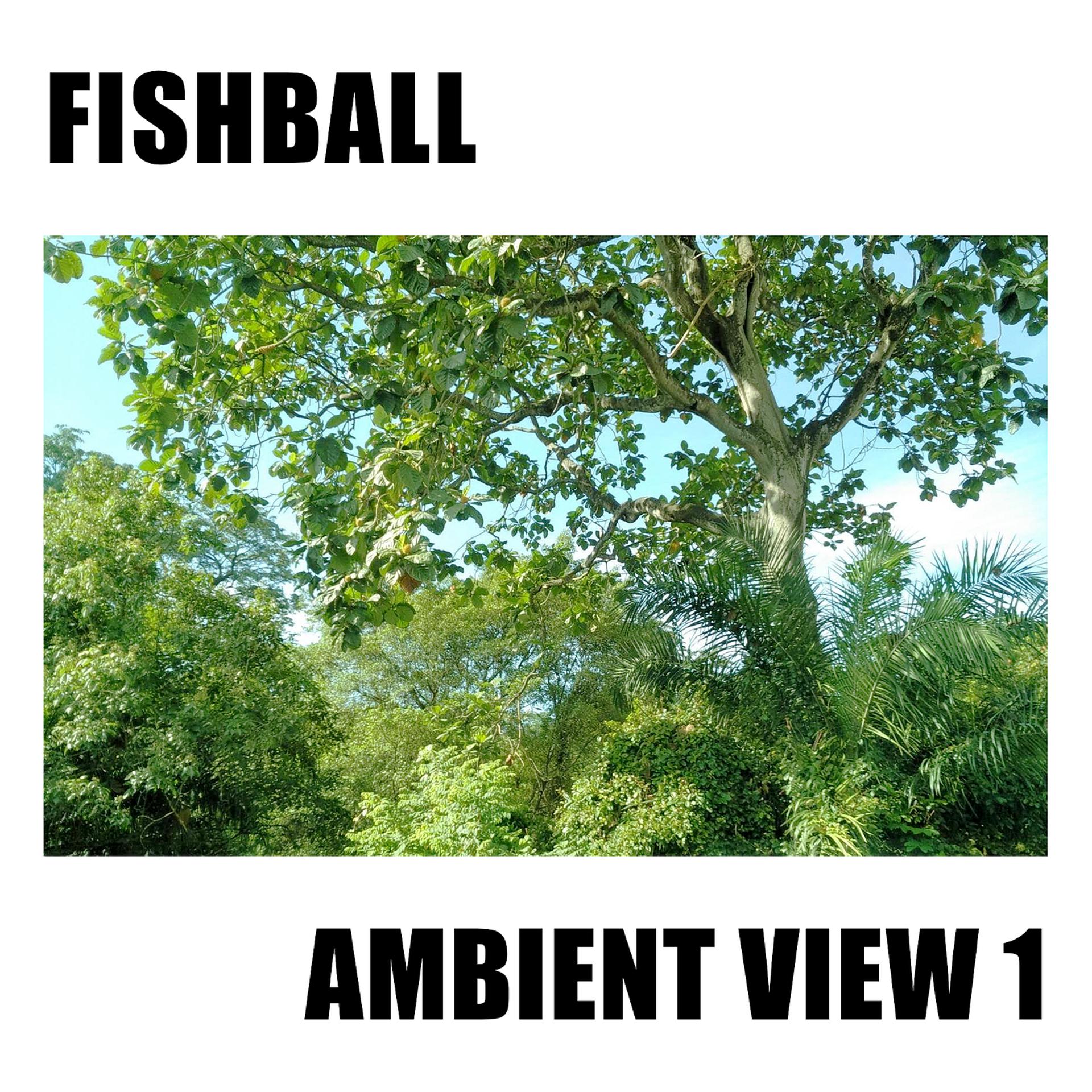 Постер альбома Ambient View 1