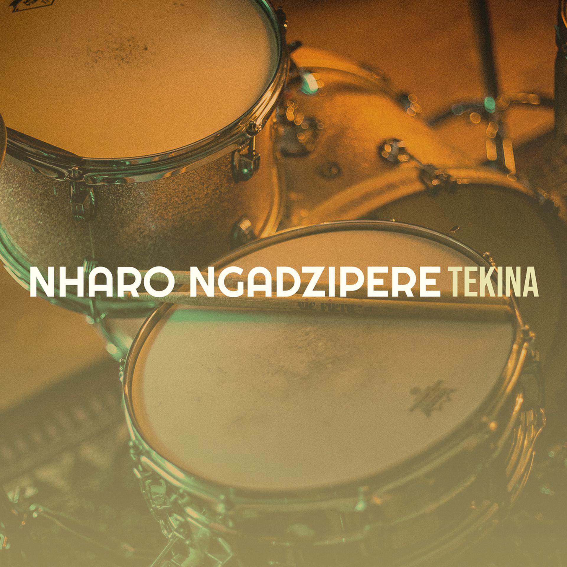 Постер альбома Nharo Ngadzipere