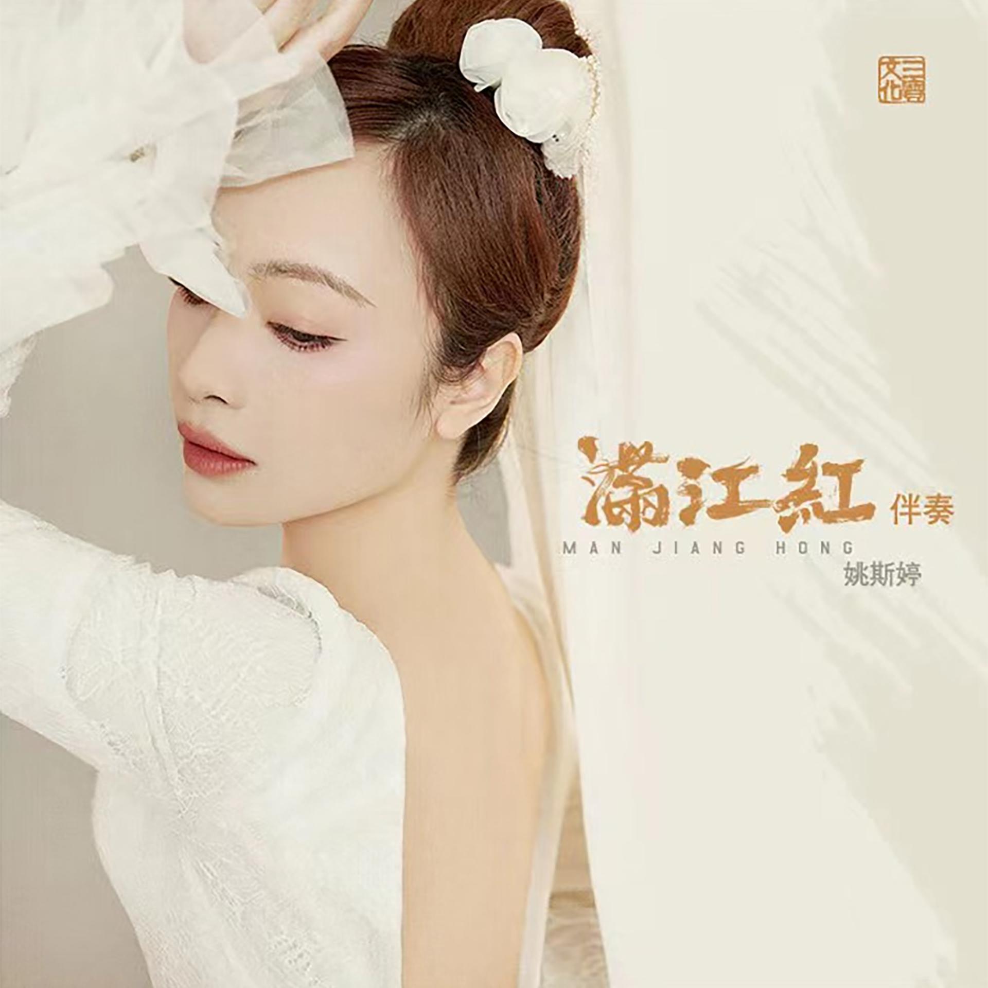 Постер альбома 满江红-伴奏