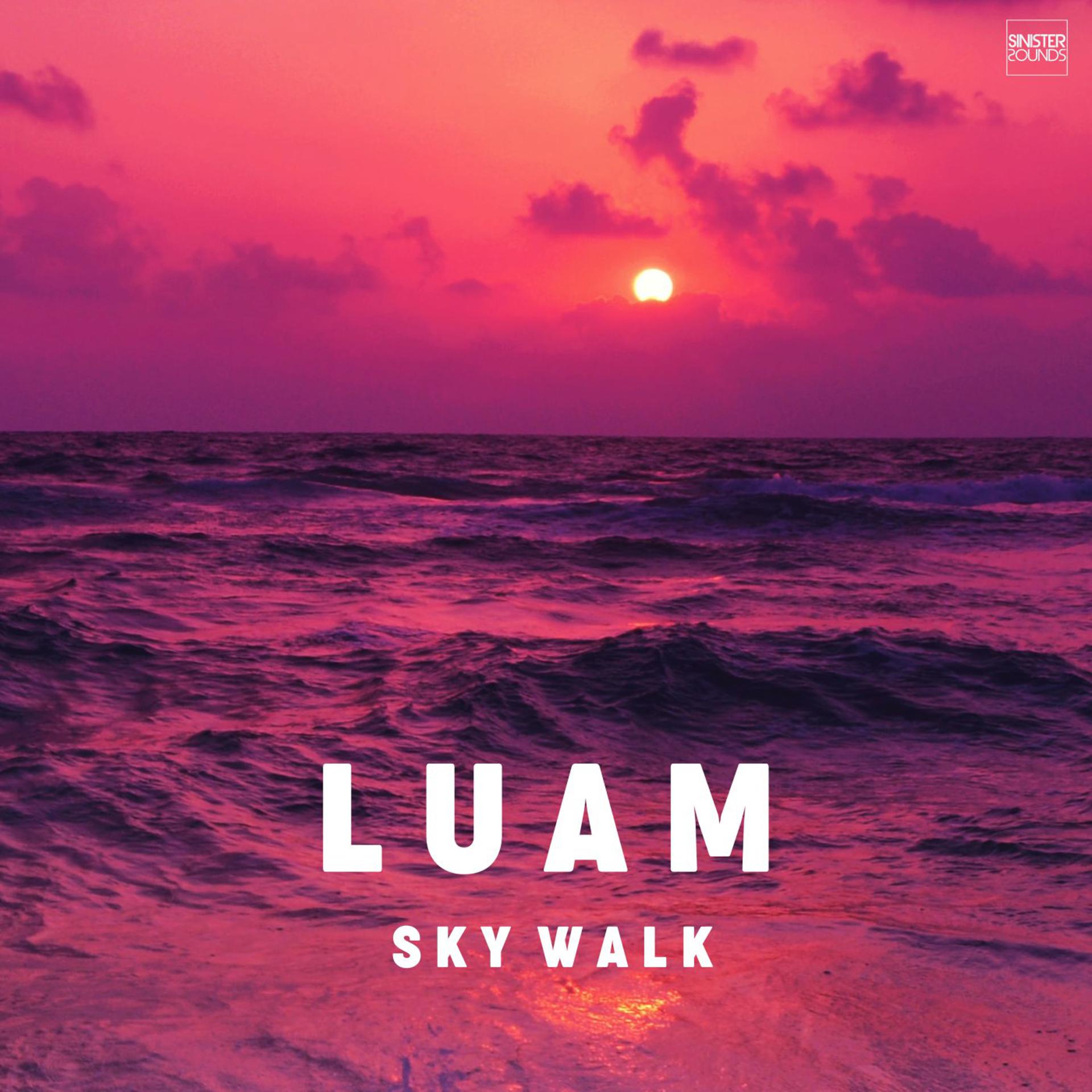 Постер альбома Sky Walk