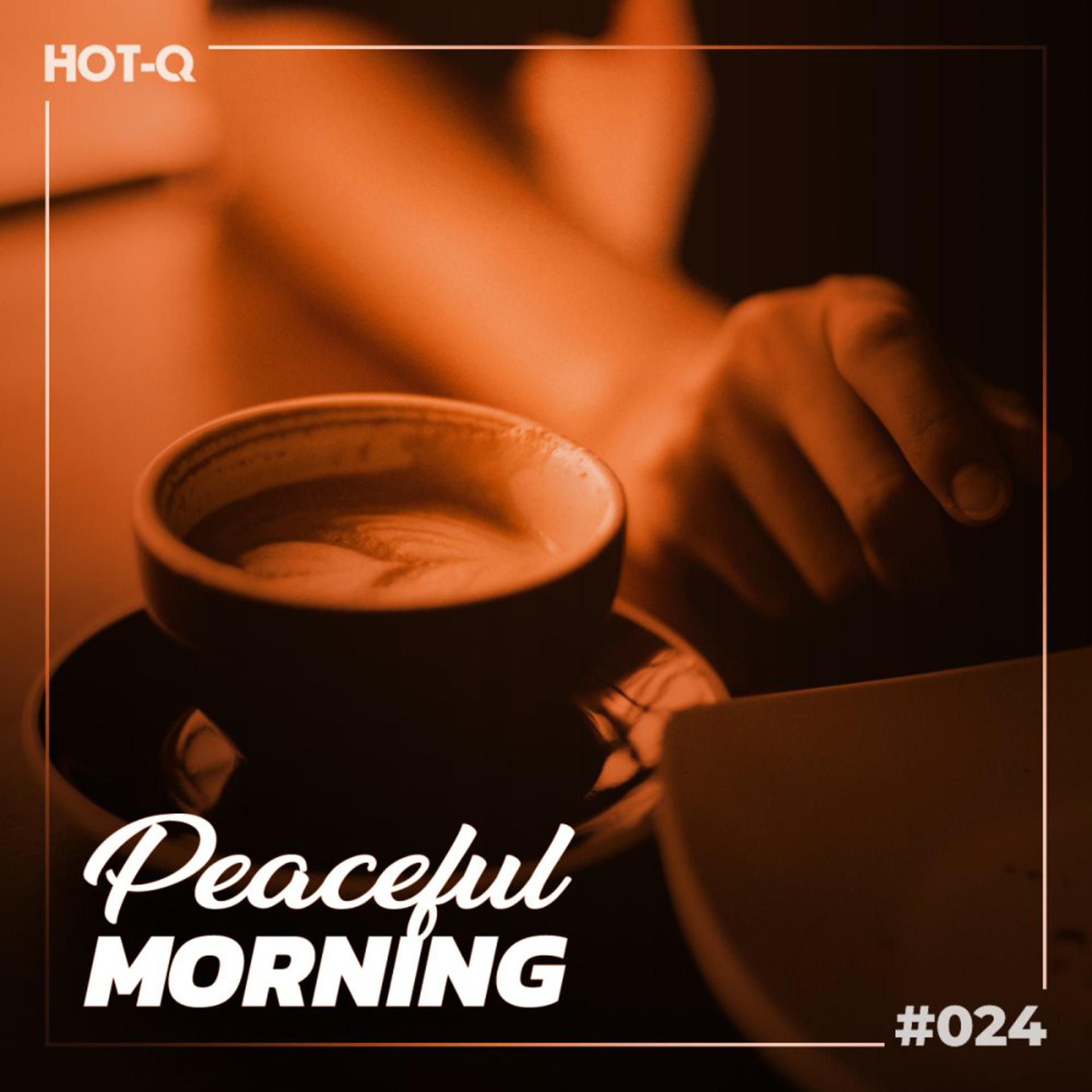 Постер альбома Peaceful Morning 024