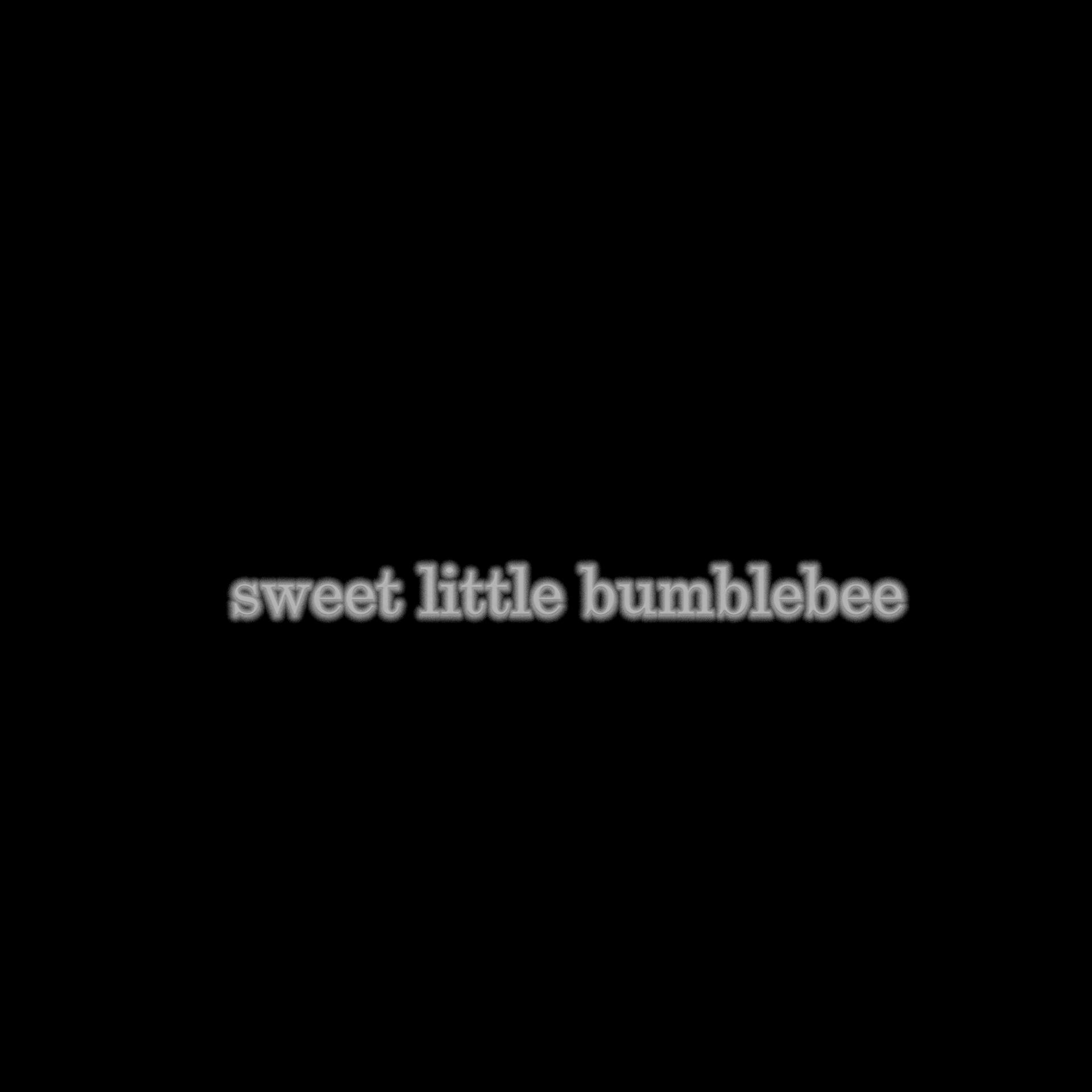 Постер альбома sweet little bumblebee