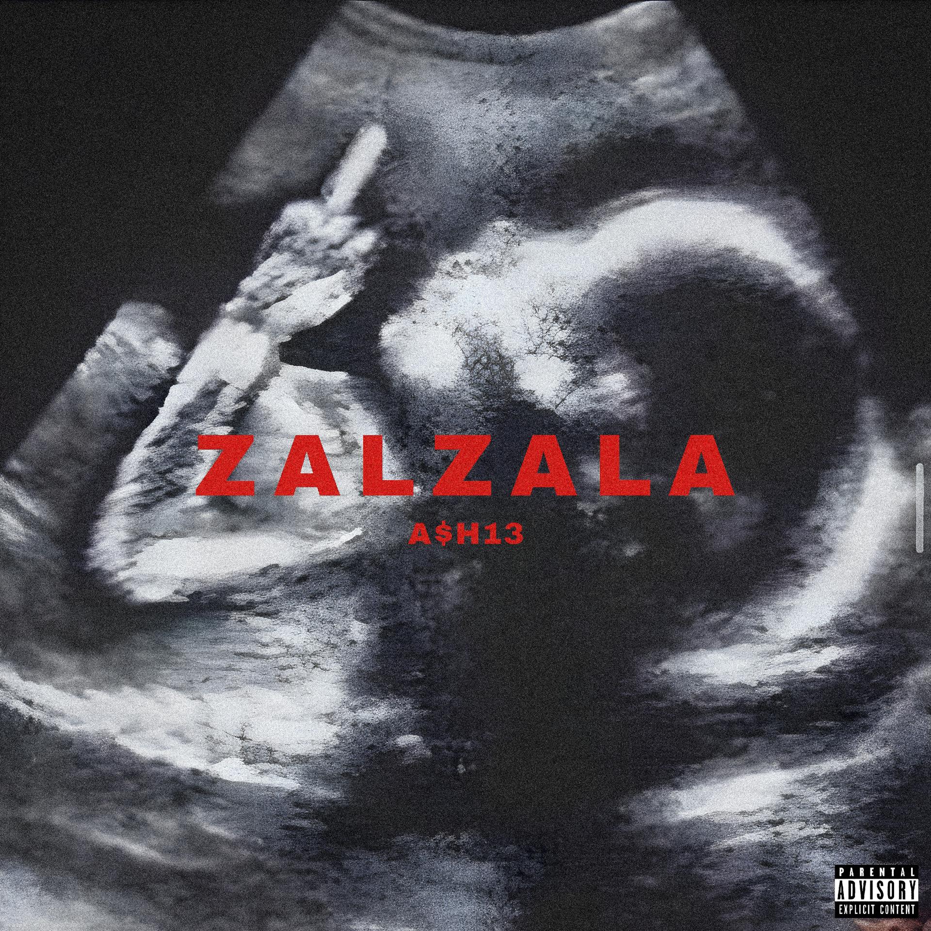 Постер альбома Zalzala