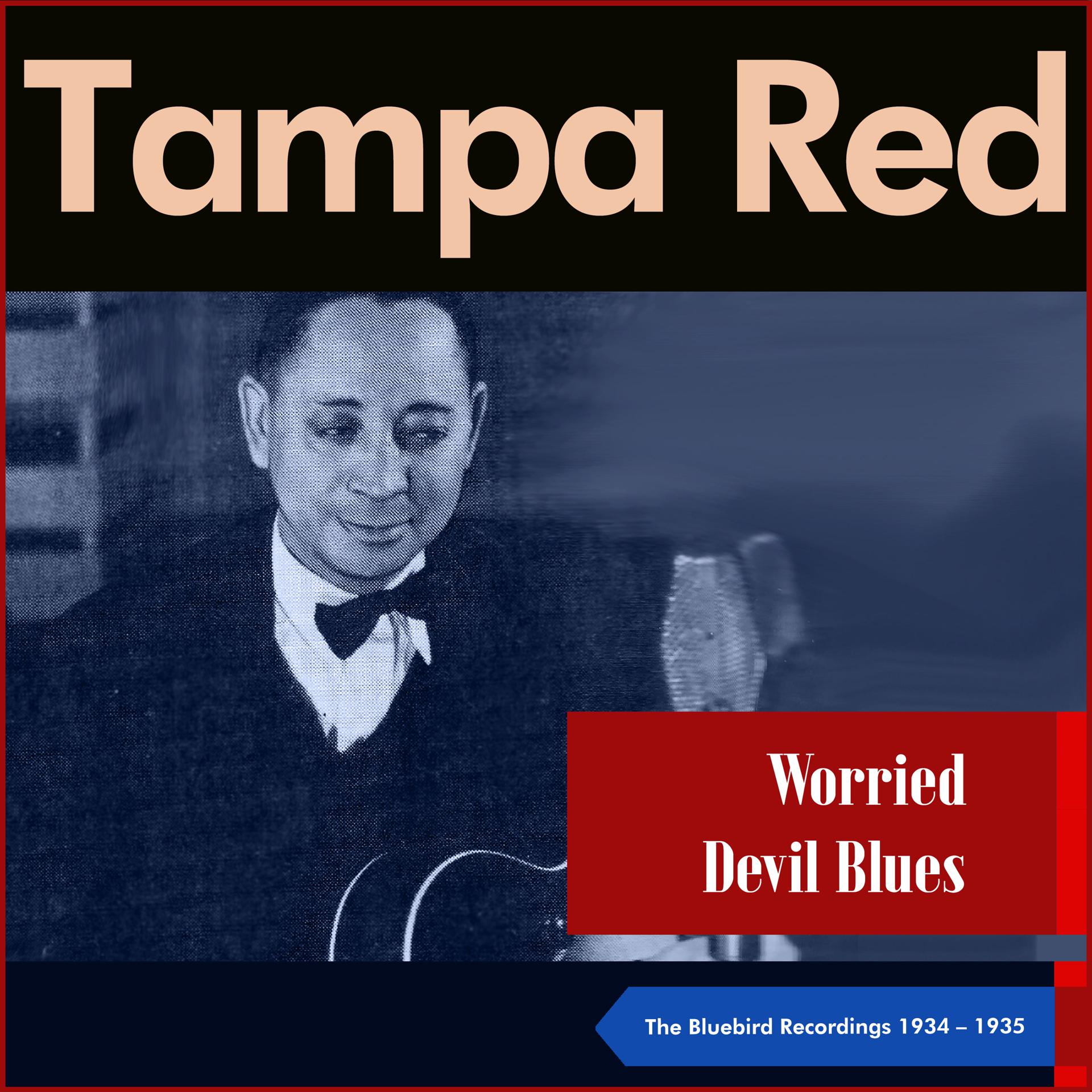 Постер альбома Worried Devil Blues