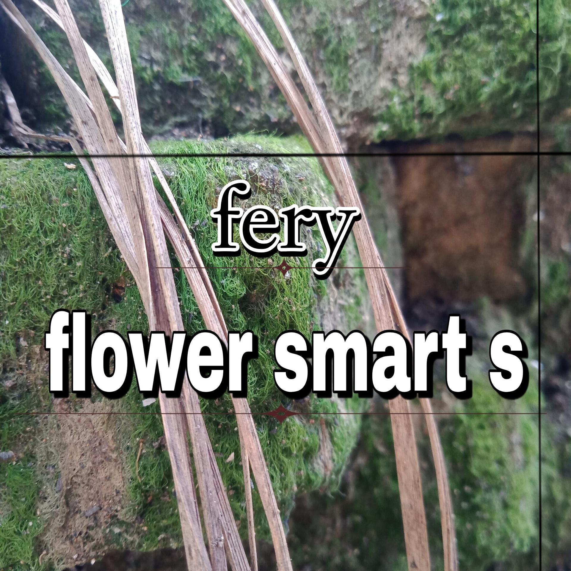 Постер альбома flower smart s