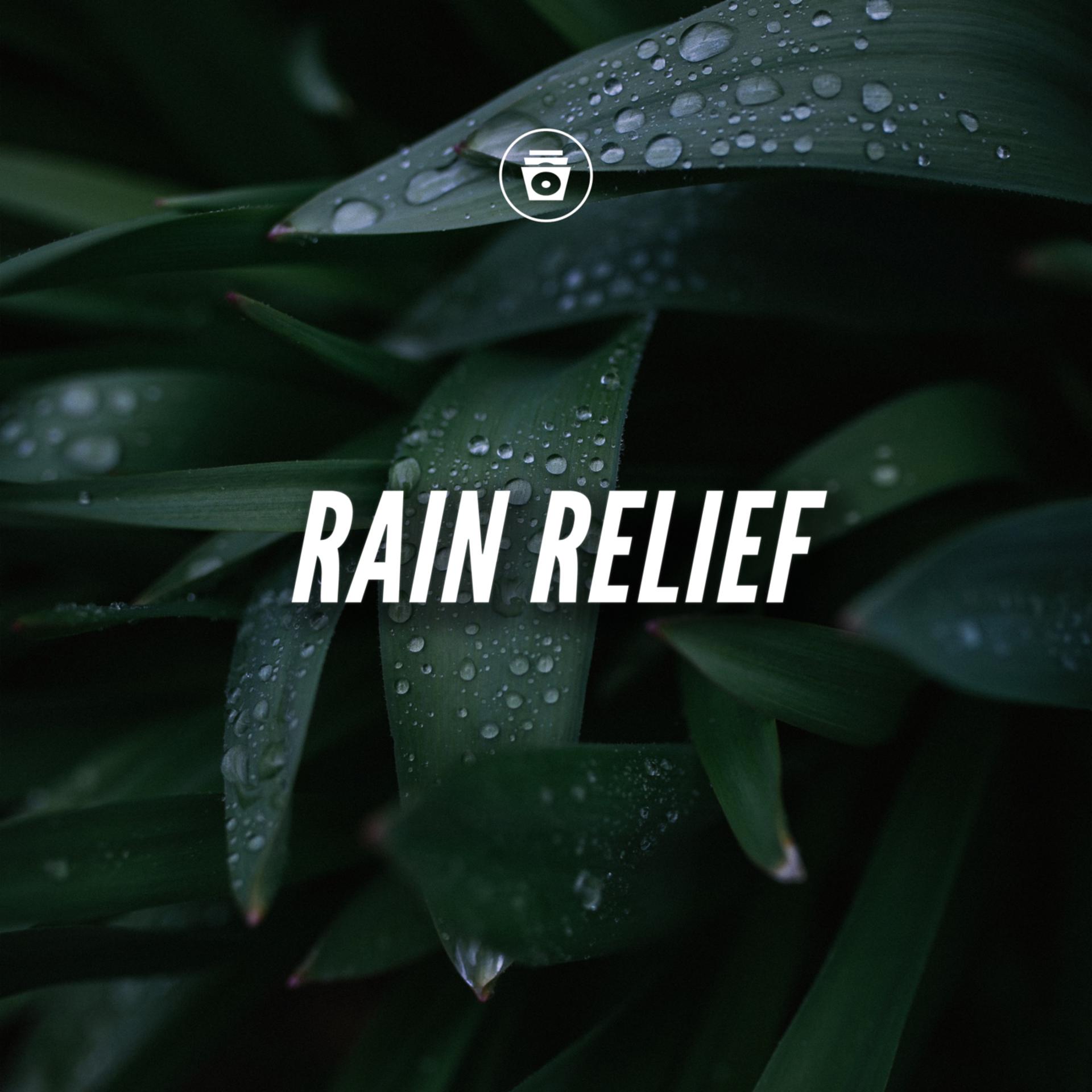 Постер альбома Rain Relief