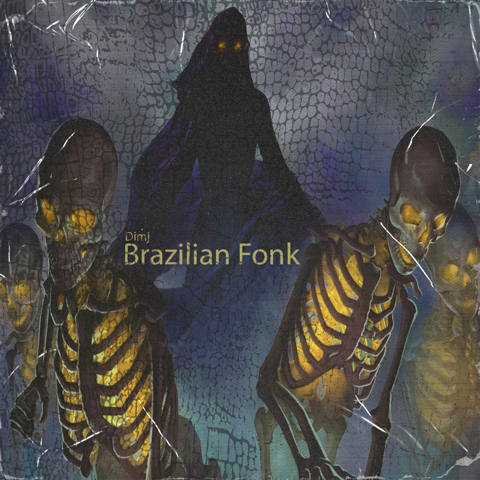 Постер альбома Brazilian Fonk