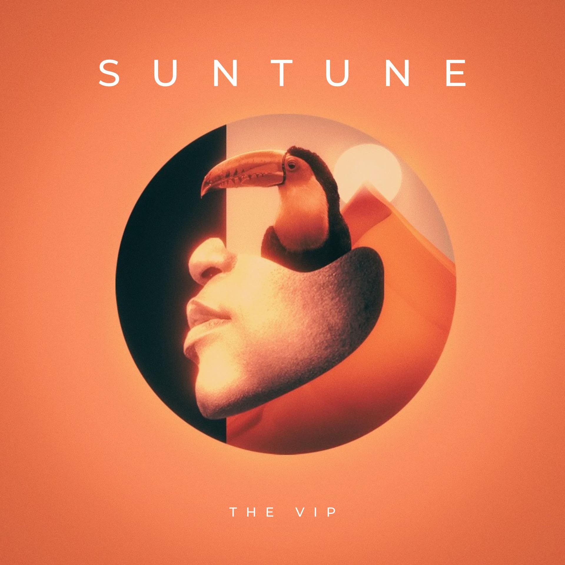 Постер альбома Suntune